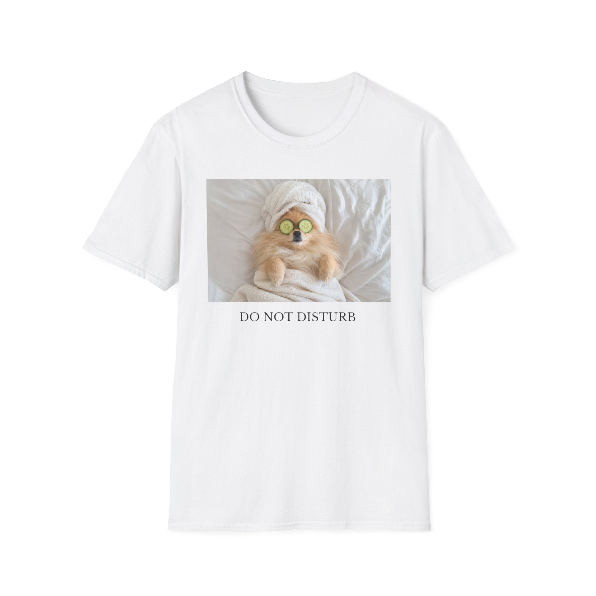 Do Not Disturb Pomeranian Shirt | Funny Dog Lover Unisex T-Shirt | Self Care Gift