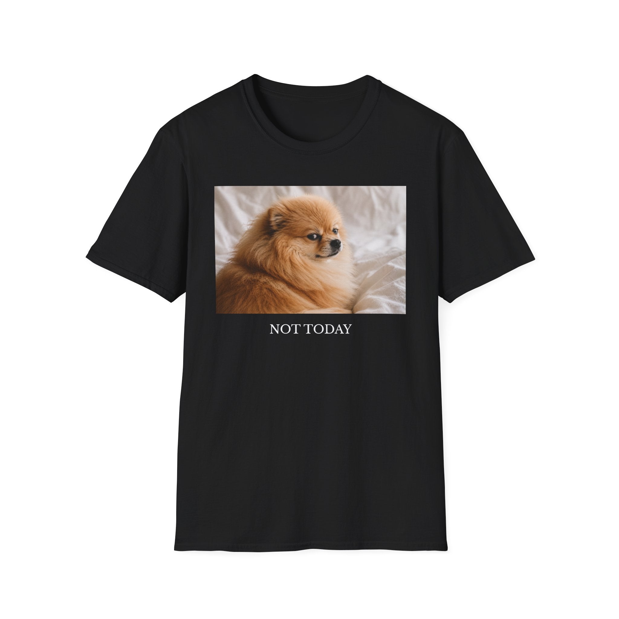 Not Today Pomeranian Shirt | Funny Dog Lover Unisex T-Shirt | Sassy Pom Tee