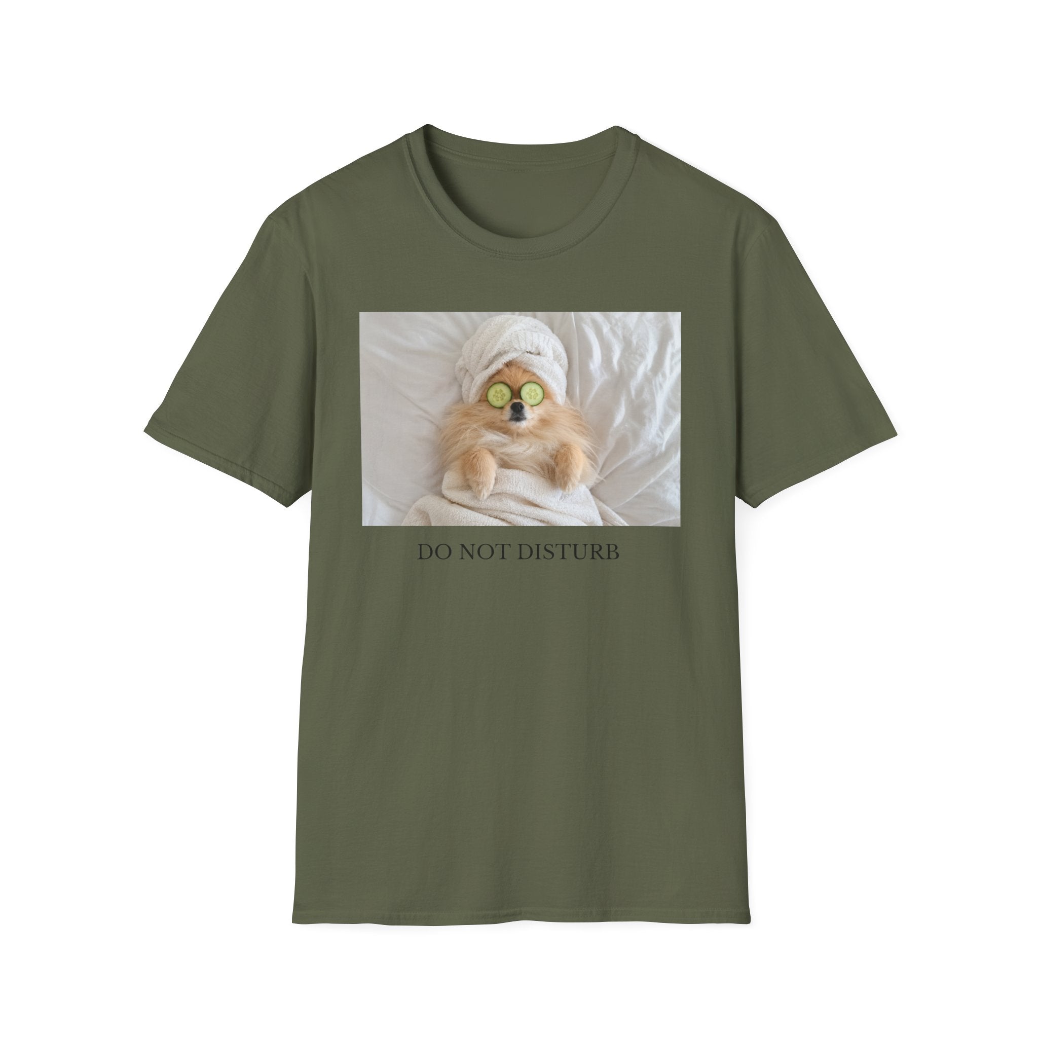 Do Not Disturb Pomeranian Shirt | Funny Dog Lover Unisex T-Shirt | Self Care Gift