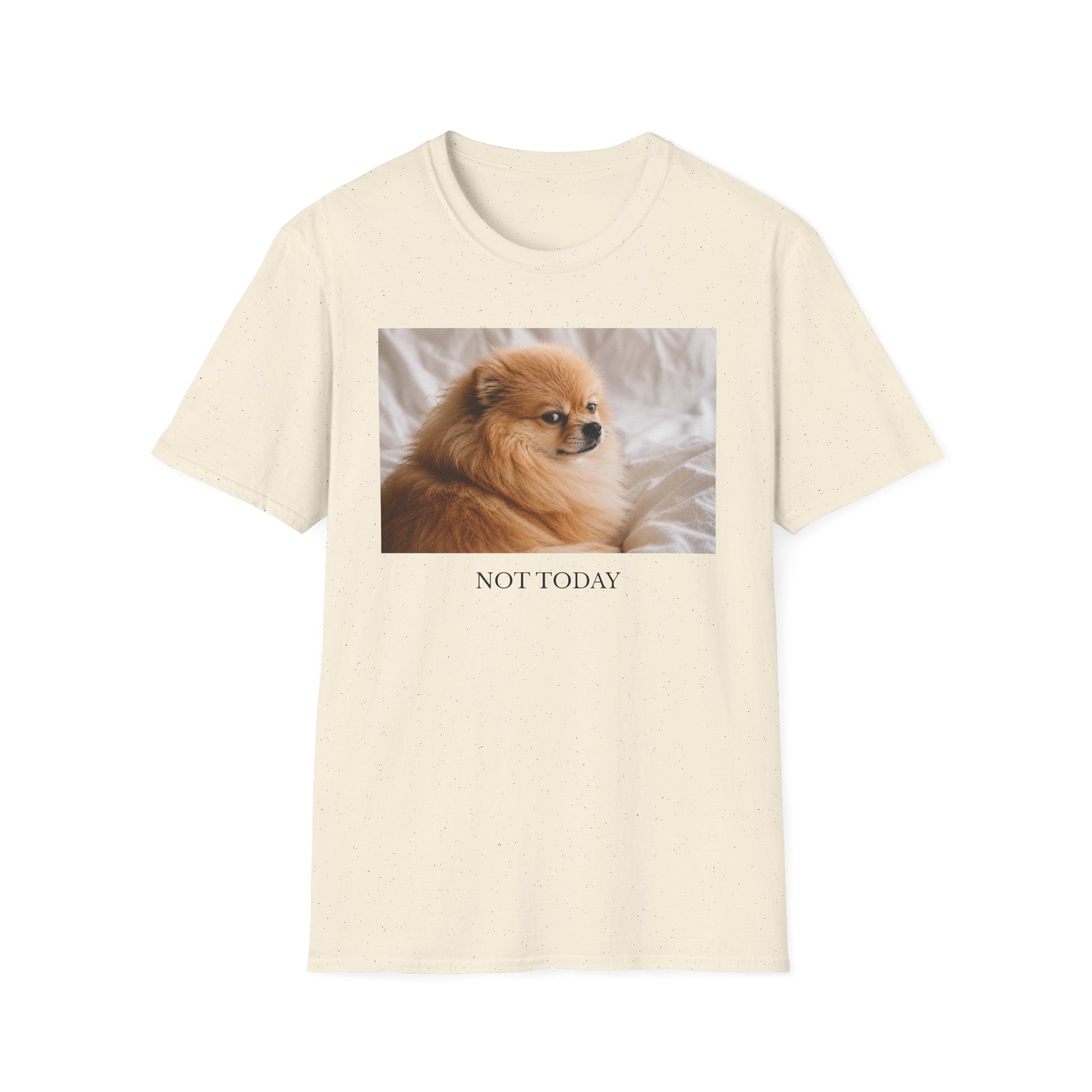 Not Today Pomeranian Shirt | Funny Dog Lover Unisex T-Shirt | Sassy Pom Tee