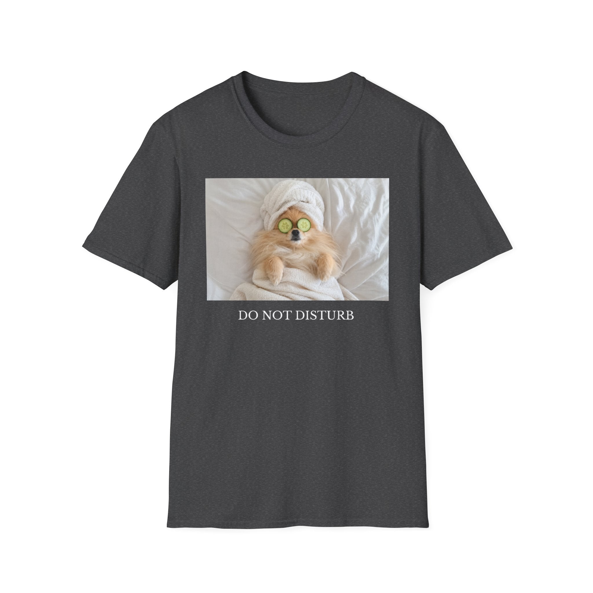 Do Not Disturb Pomeranian Shirt | Funny Dog Lover Unisex T-Shirt | Self Care Gift