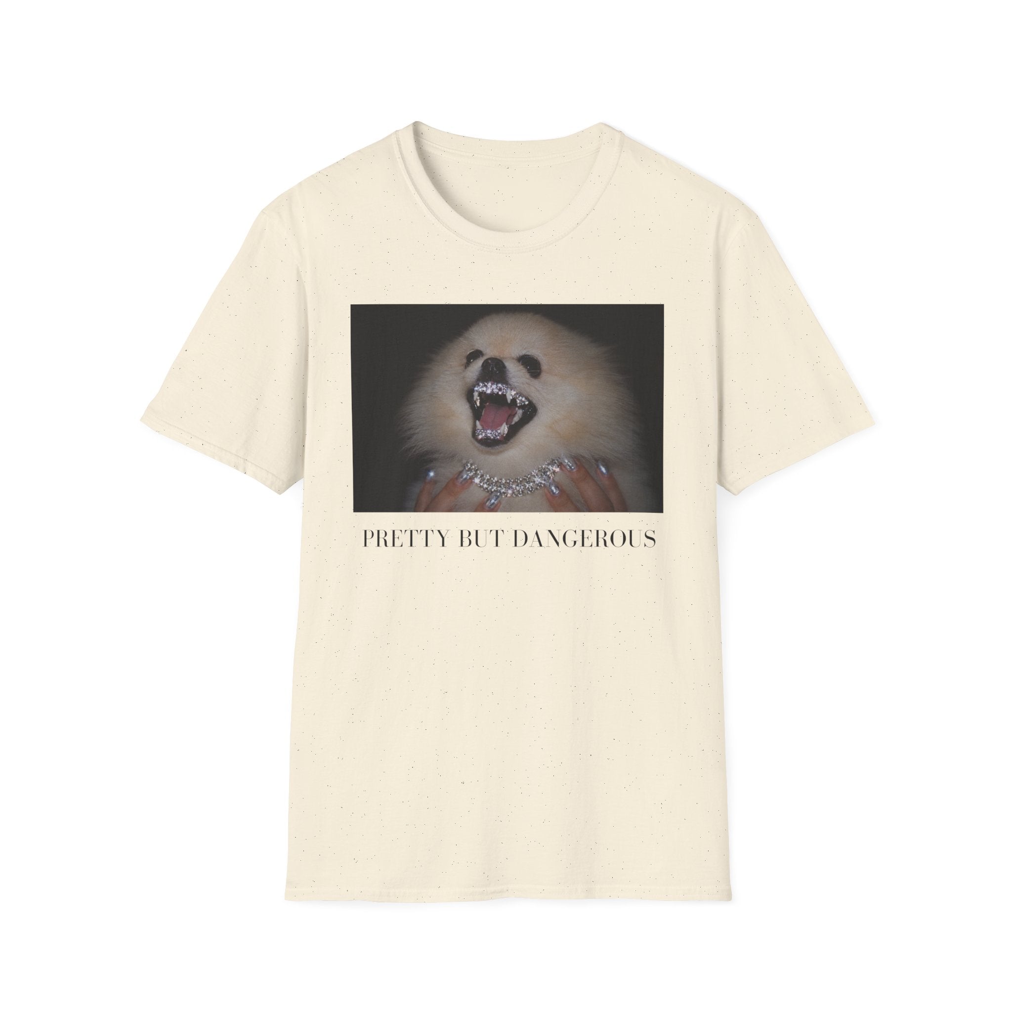 Pomeranian T-Shirt | Pretty But Dangerous, Y2K Dog Mom Tee