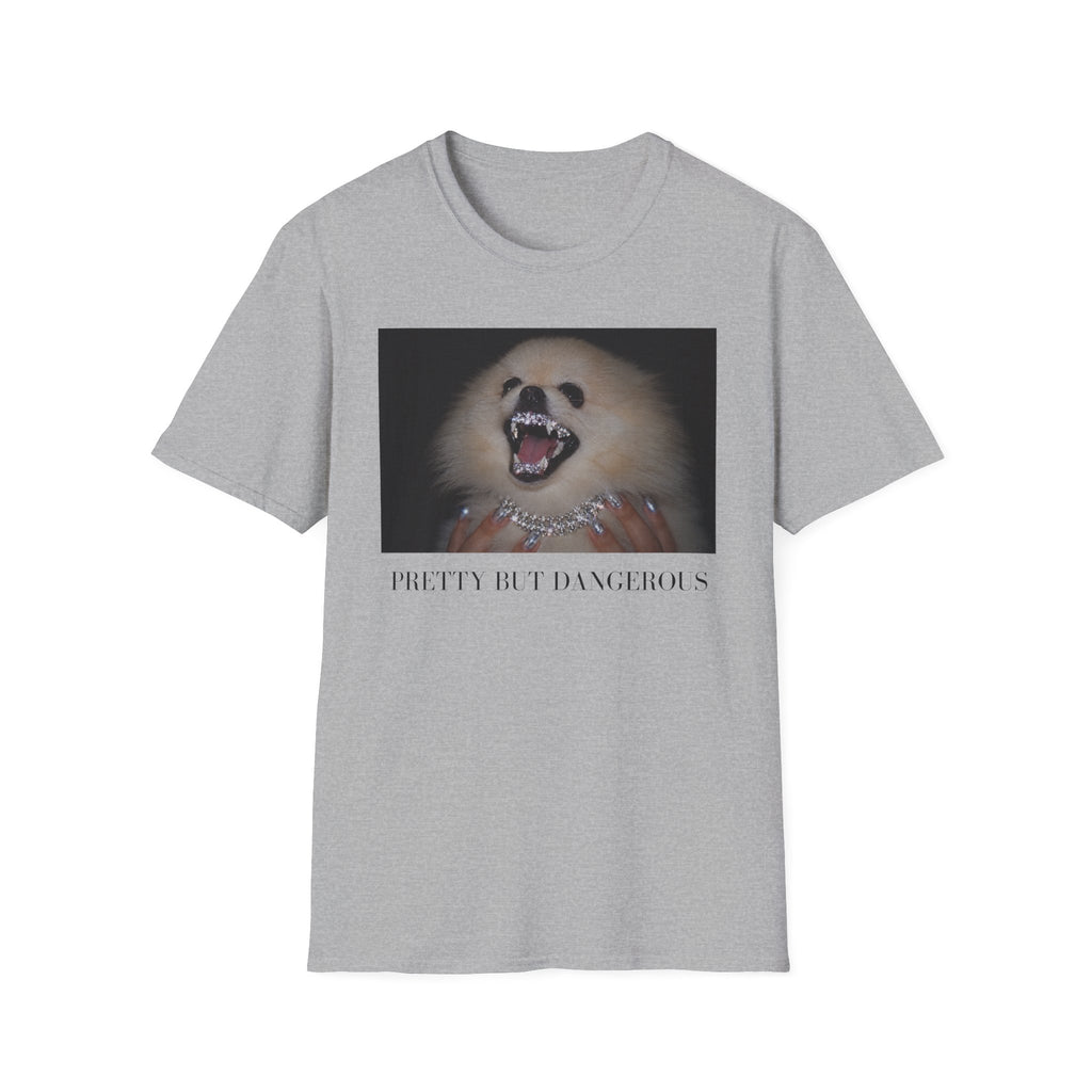 Pomeranian T-Shirt | Pretty But Dangerous, Y2K Dog Mom Tee