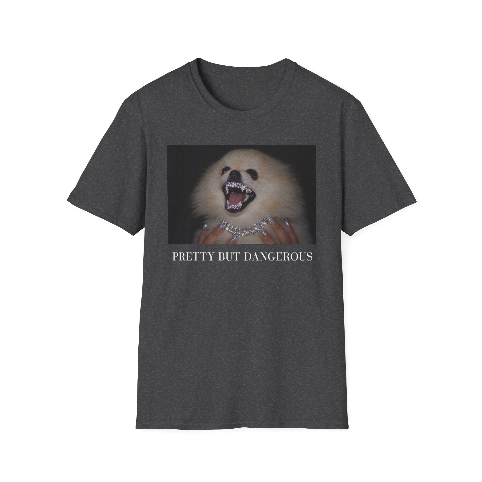 Pomeranian T-Shirt | Pretty But Dangerous, Y2K Dog Mom Tee