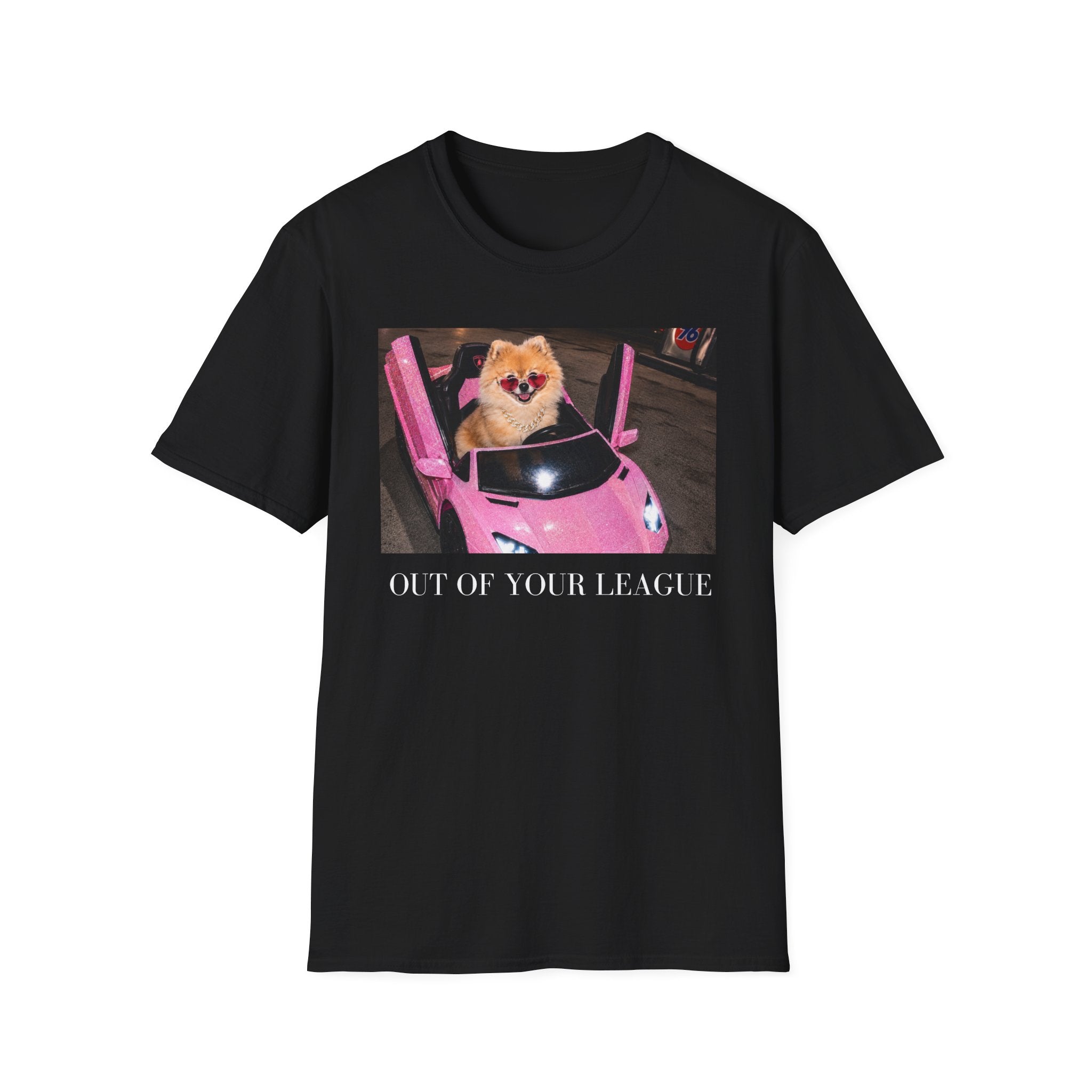 Out of Your League | Pomeranian Dog Graphic Tee | Y2K Pink T-Shirt