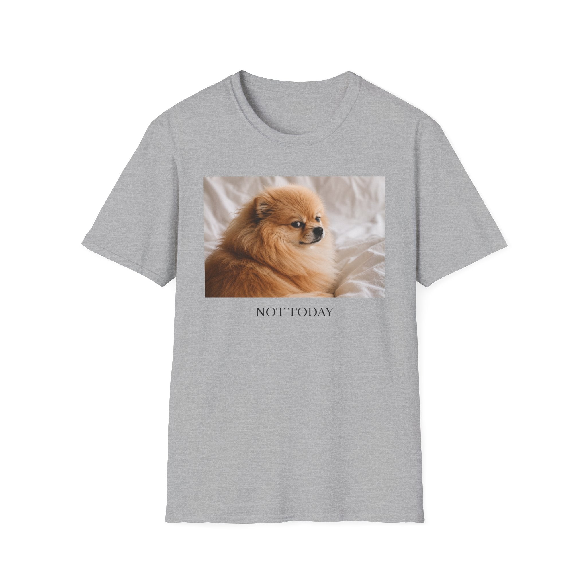 Not Today Pomeranian Shirt | Funny Dog Lover Unisex T-Shirt | Sassy Pom Tee