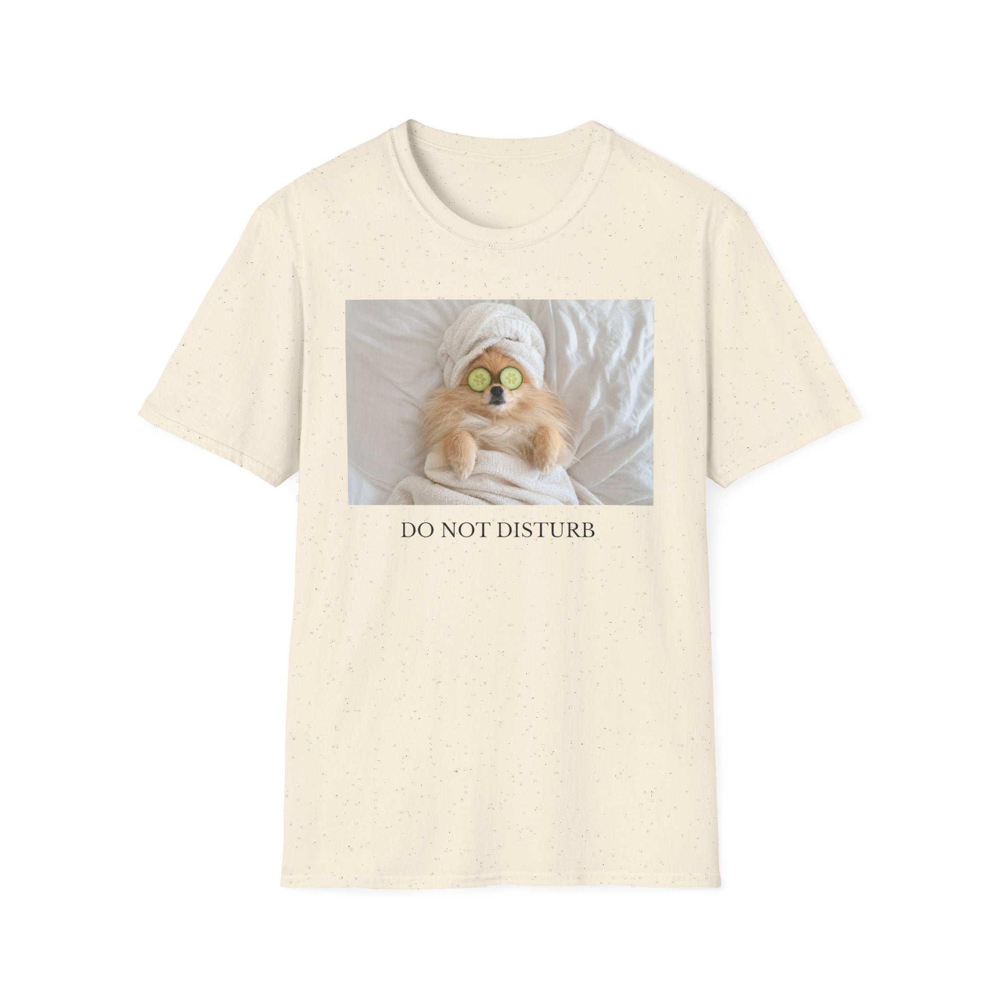 Do Not Disturb Pomeranian Shirt | Funny Dog Lover Unisex T-Shirt | Self Care Gift