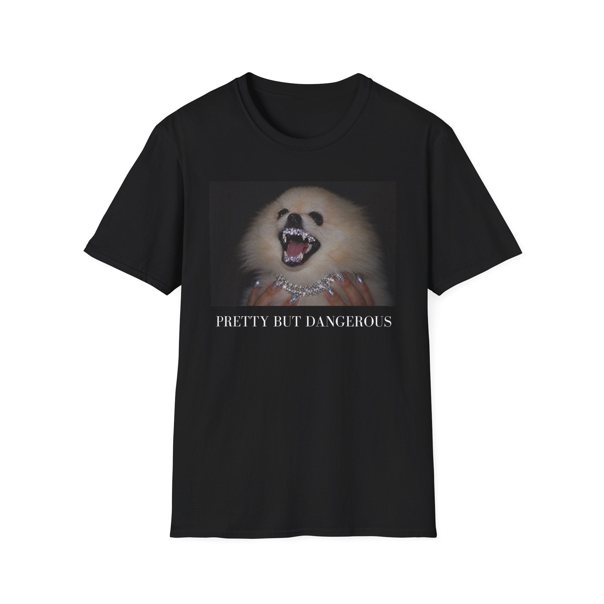 Pomeranian T-Shirt | Pretty But Dangerous, Y2K Dog Mom Tee