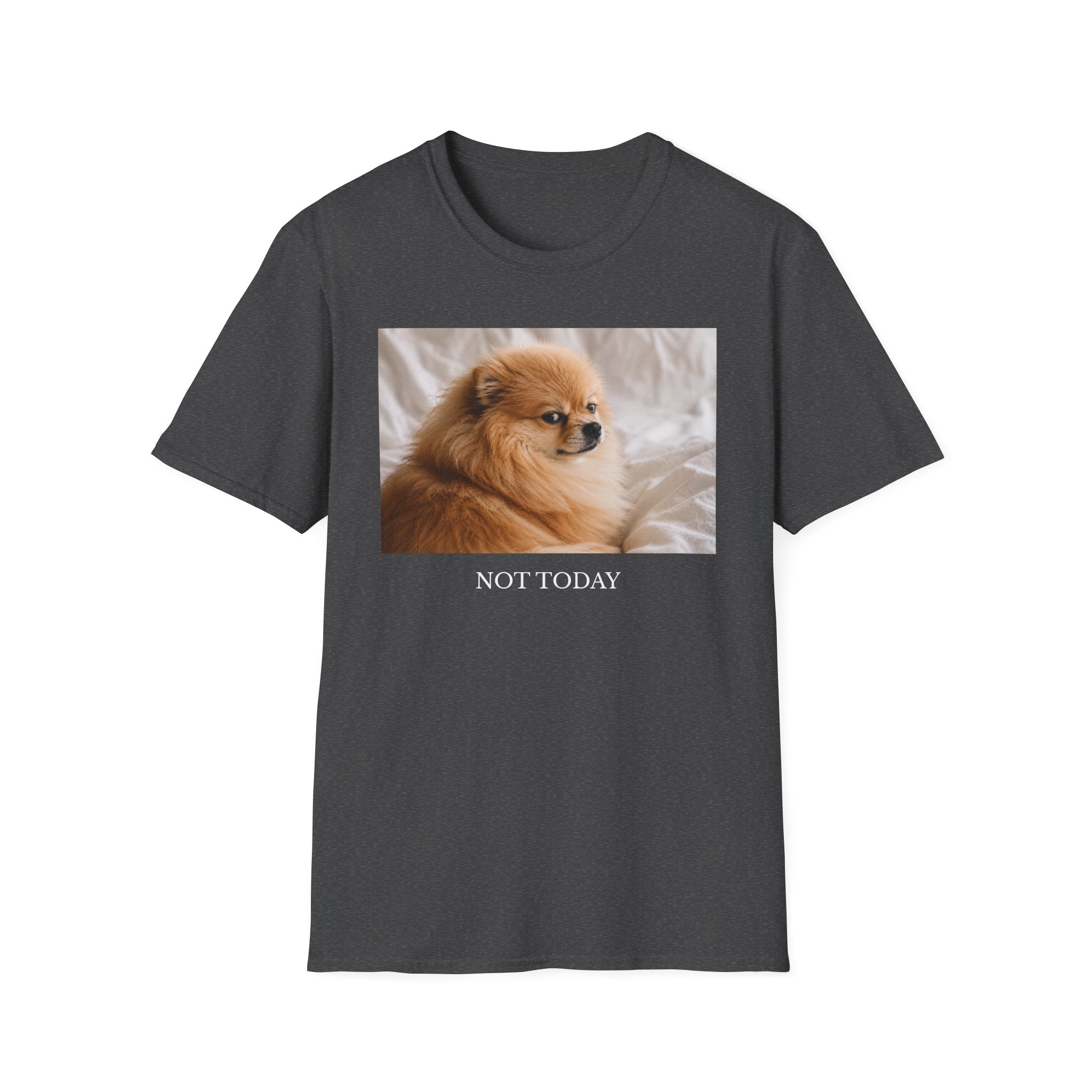 Not Today Pomeranian Shirt | Funny Dog Lover Unisex T-Shirt | Sassy Pom Tee