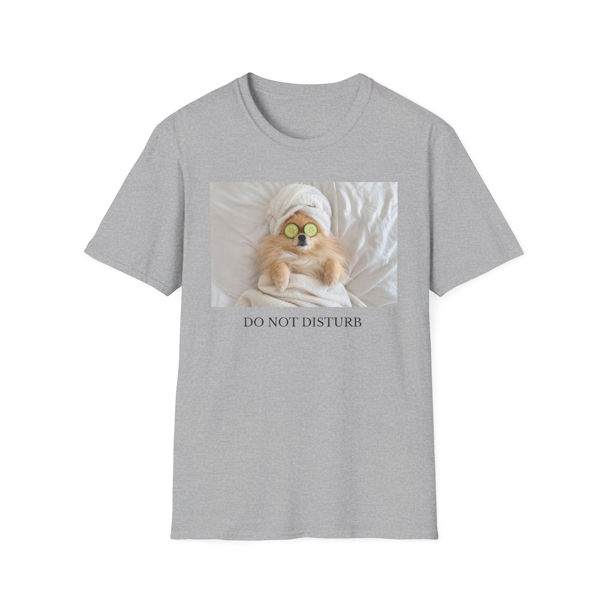 Do Not Disturb Pomeranian Shirt | Funny Dog Lover Unisex T-Shirt | Self Care Gift