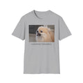I Choose Violence Pomeranian Shirt, Funny Angry Dog T-Shirt, Cute Pomeranian Gift, Dog Mom Tee, Sassy Pet Lover Shirt