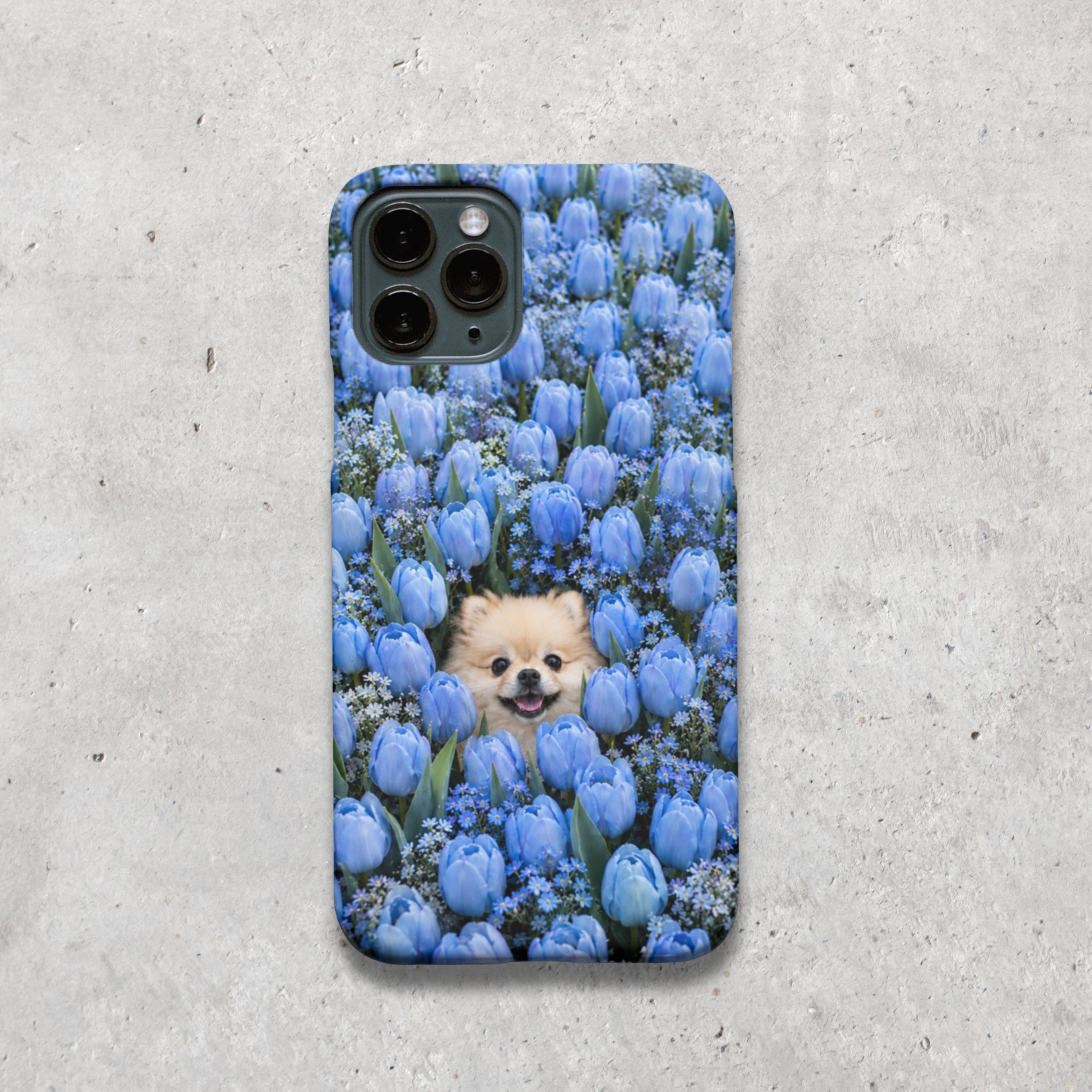 Blue Tulip Pomeranian Dog iPhone Case | Floral Dog Lover Gift