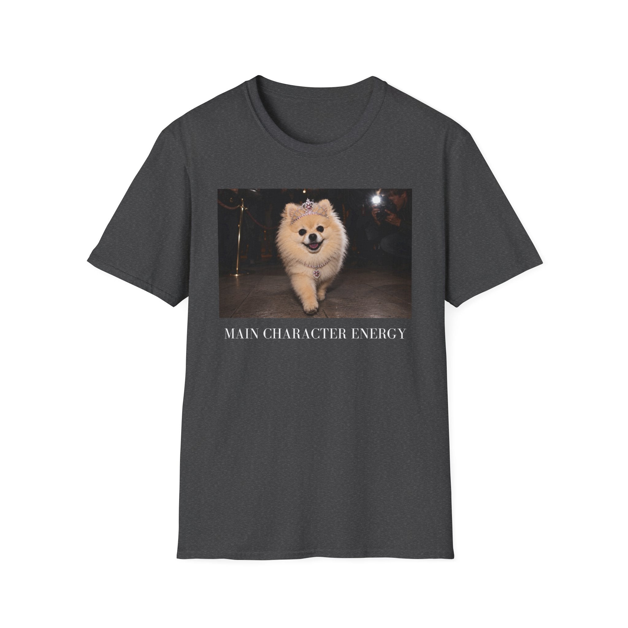 Main Character Energy Pomeranian T-Shirt | Dog Mom, Coquette, Y2K Fashion Tee