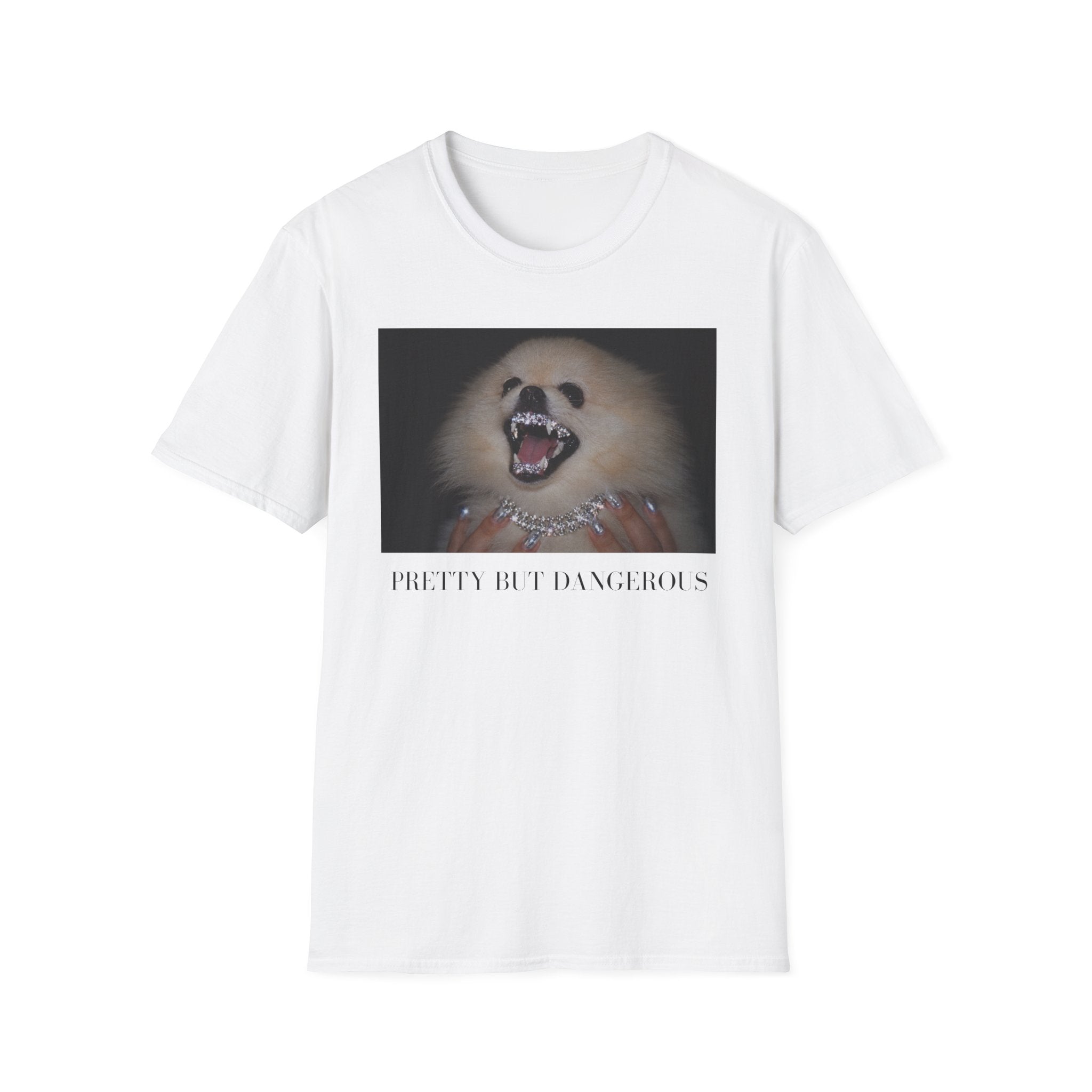 Pomeranian T-Shirt | Pretty But Dangerous, Y2K Dog Mom Tee