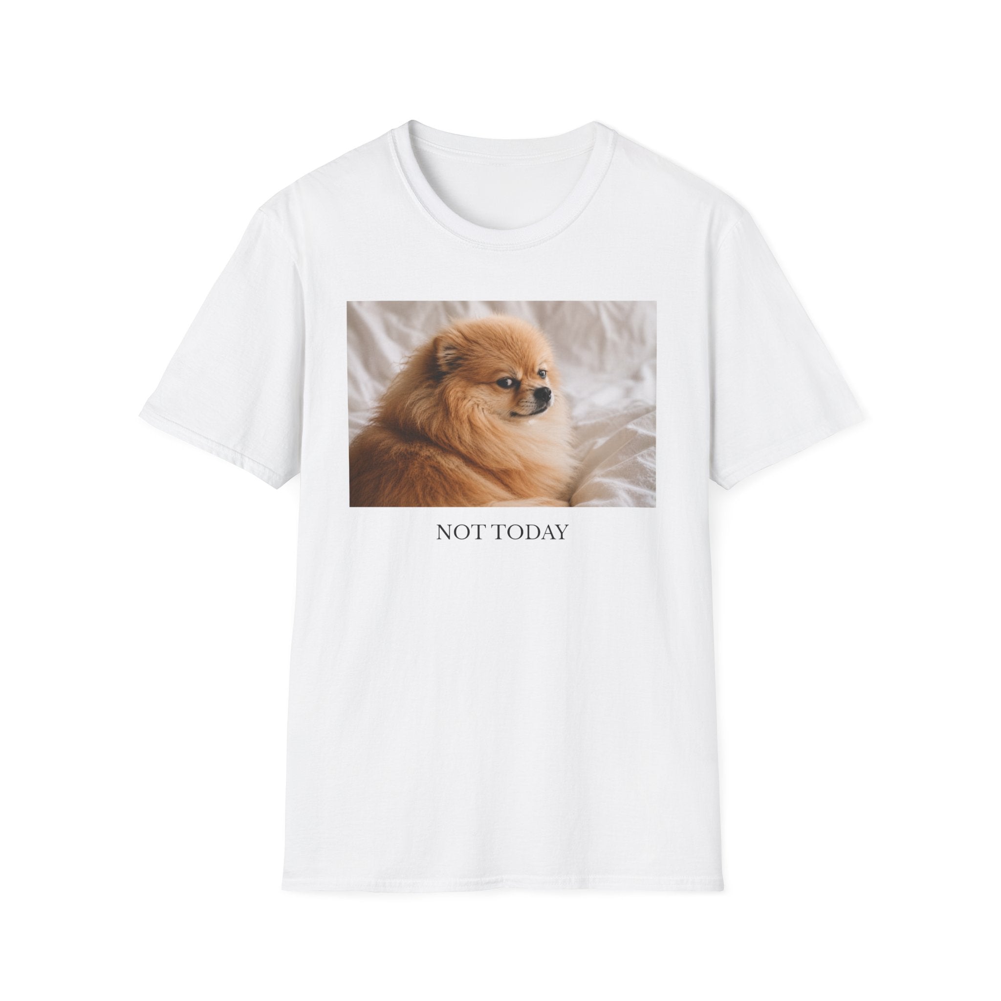 Not Today Pomeranian Shirt | Funny Dog Lover Unisex T-Shirt | Sassy Pom Tee