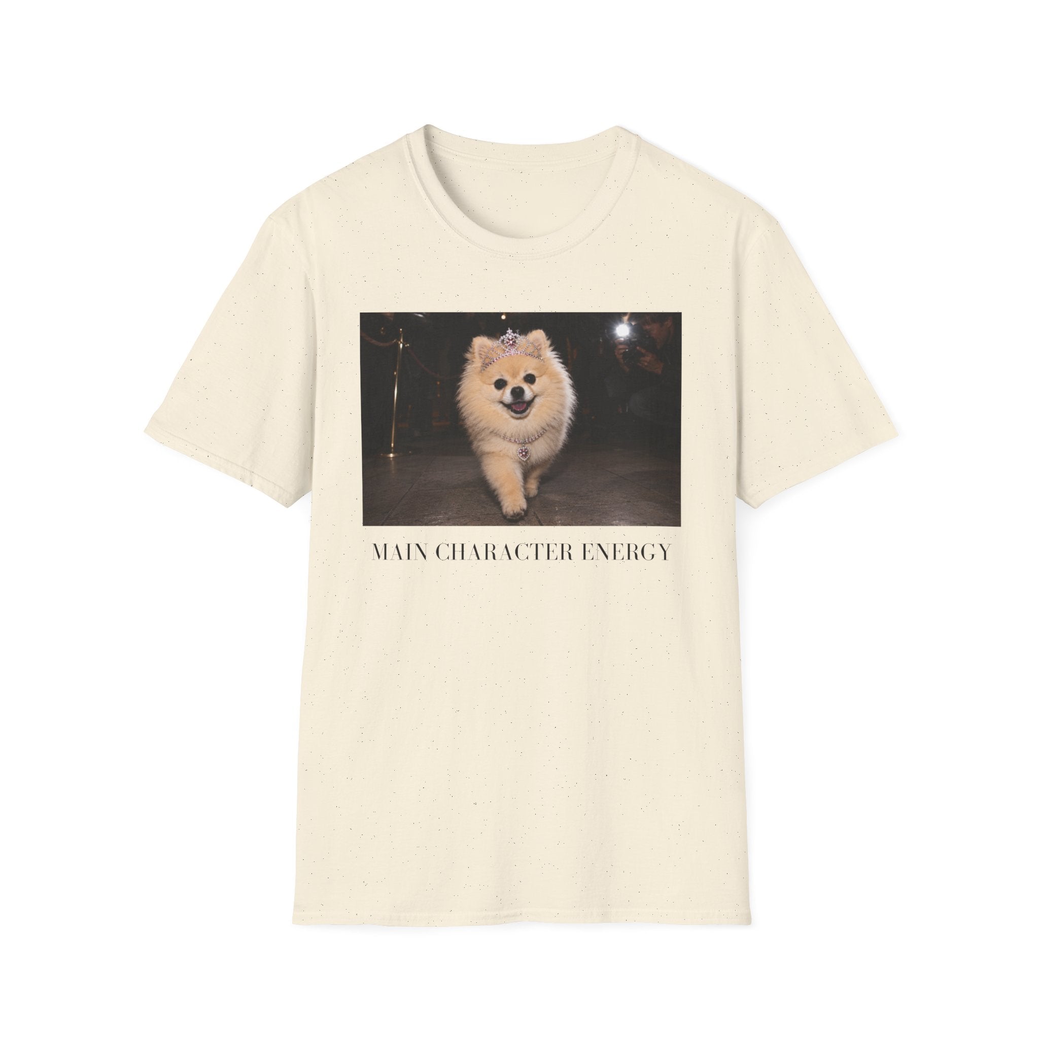Main Character Energy Pomeranian T-Shirt | Dog Mom, Coquette, Y2K Fashion Tee