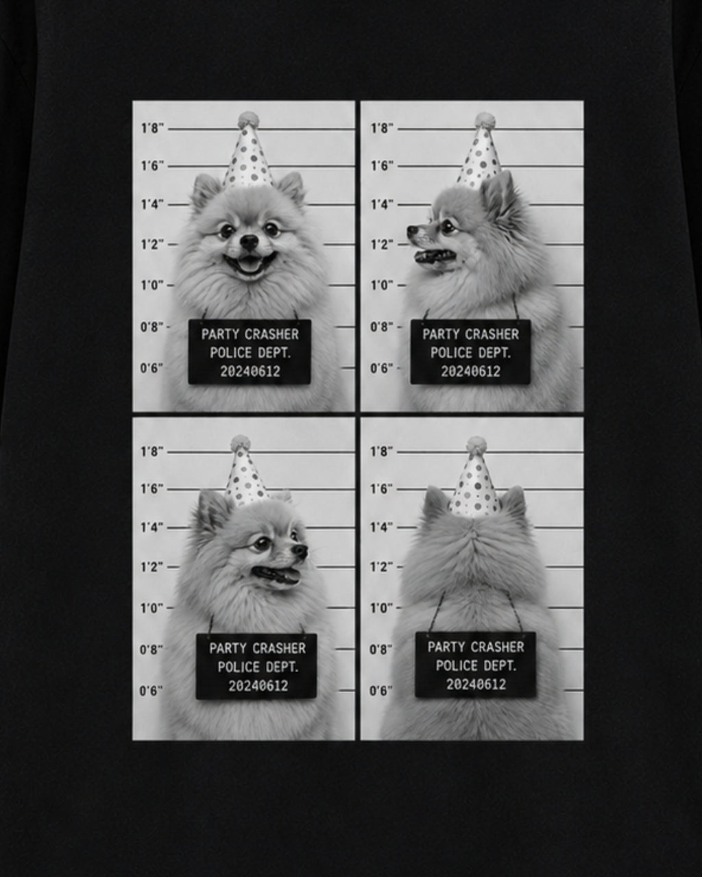 Party Crasher Pomeranian Shirt
