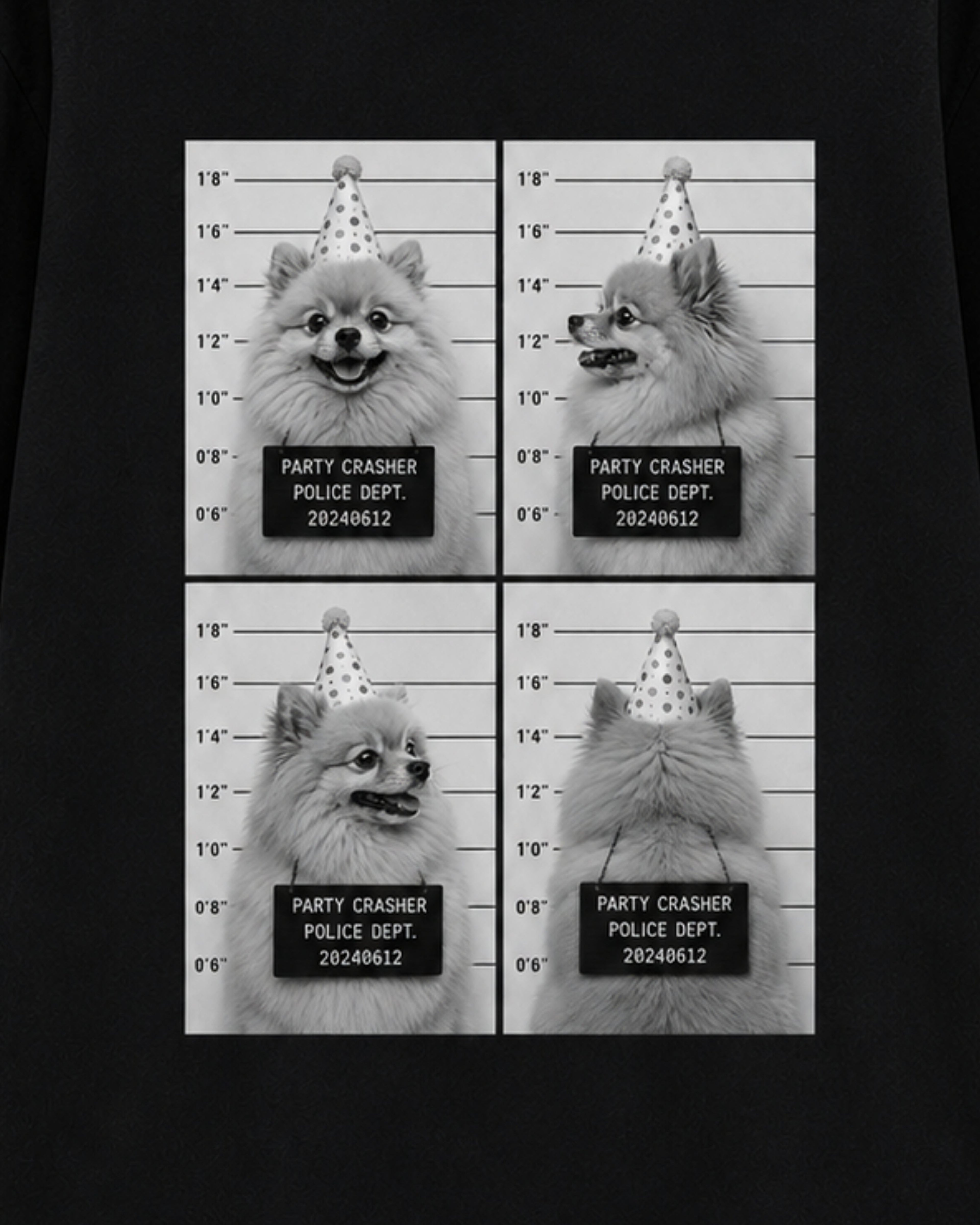Party Crasher Pomeranian Shirt