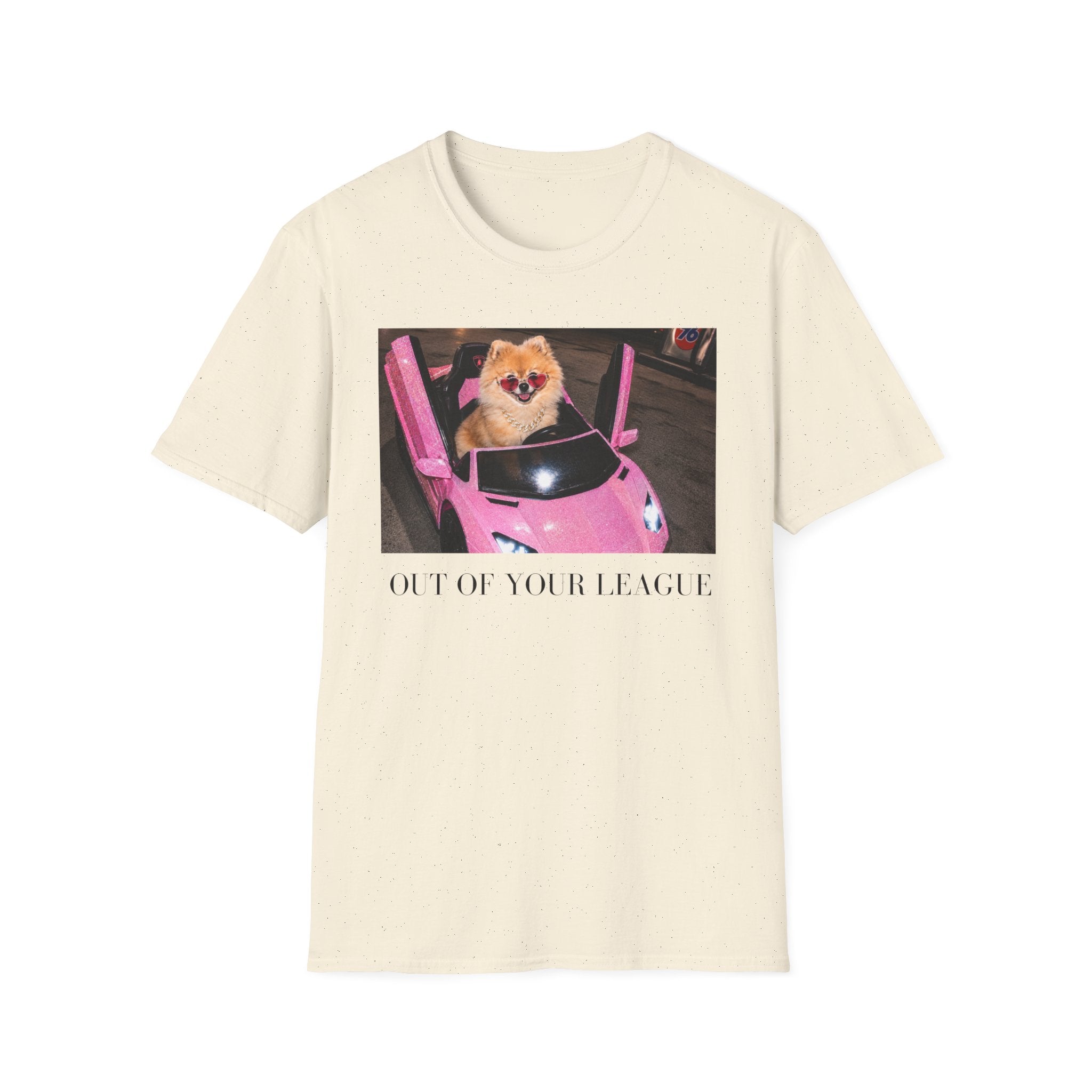 Out of Your League | Pomeranian Dog Graphic Tee | Y2K Pink T-Shirt