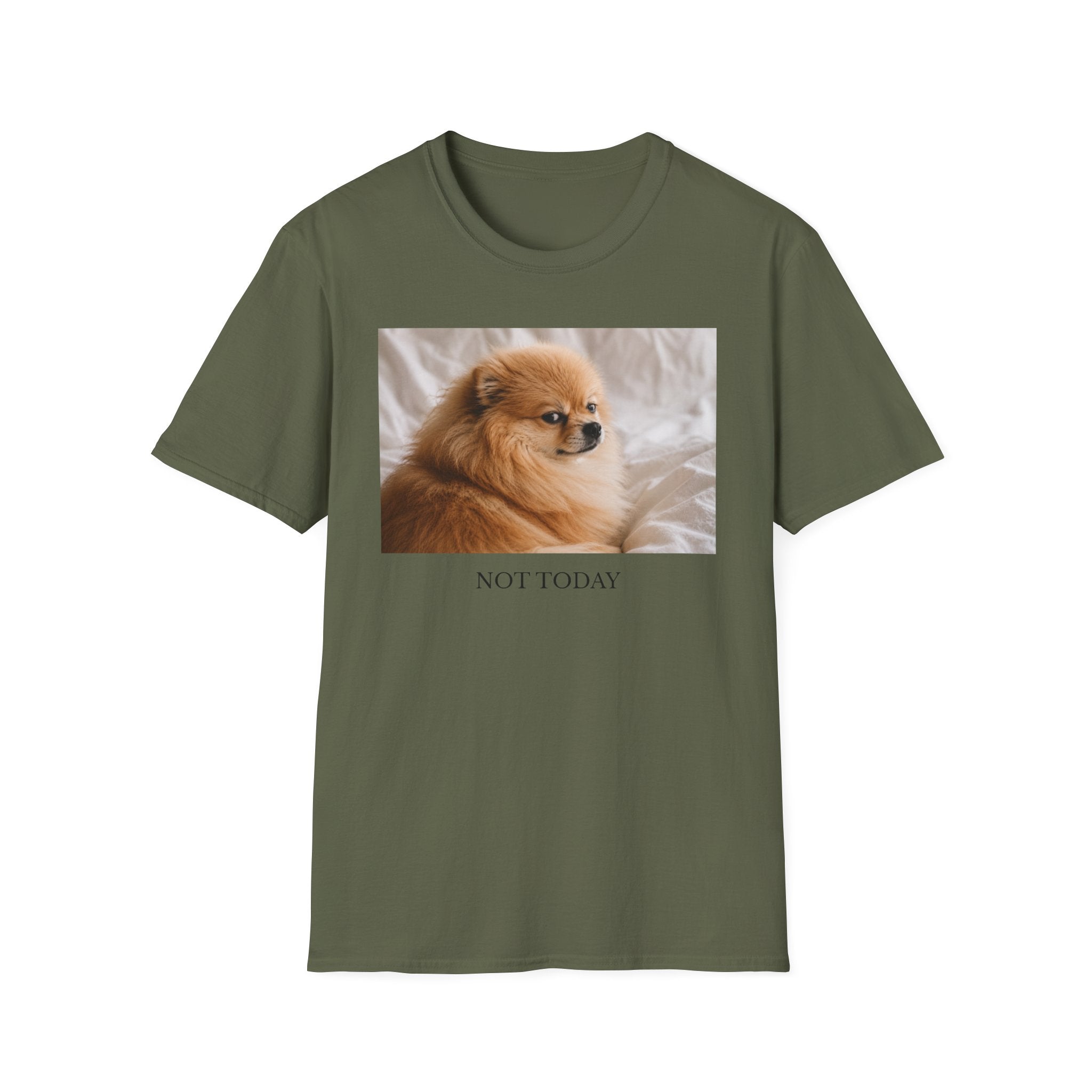 Not Today Pomeranian Shirt | Funny Dog Lover Unisex T-Shirt | Sassy Pom Tee