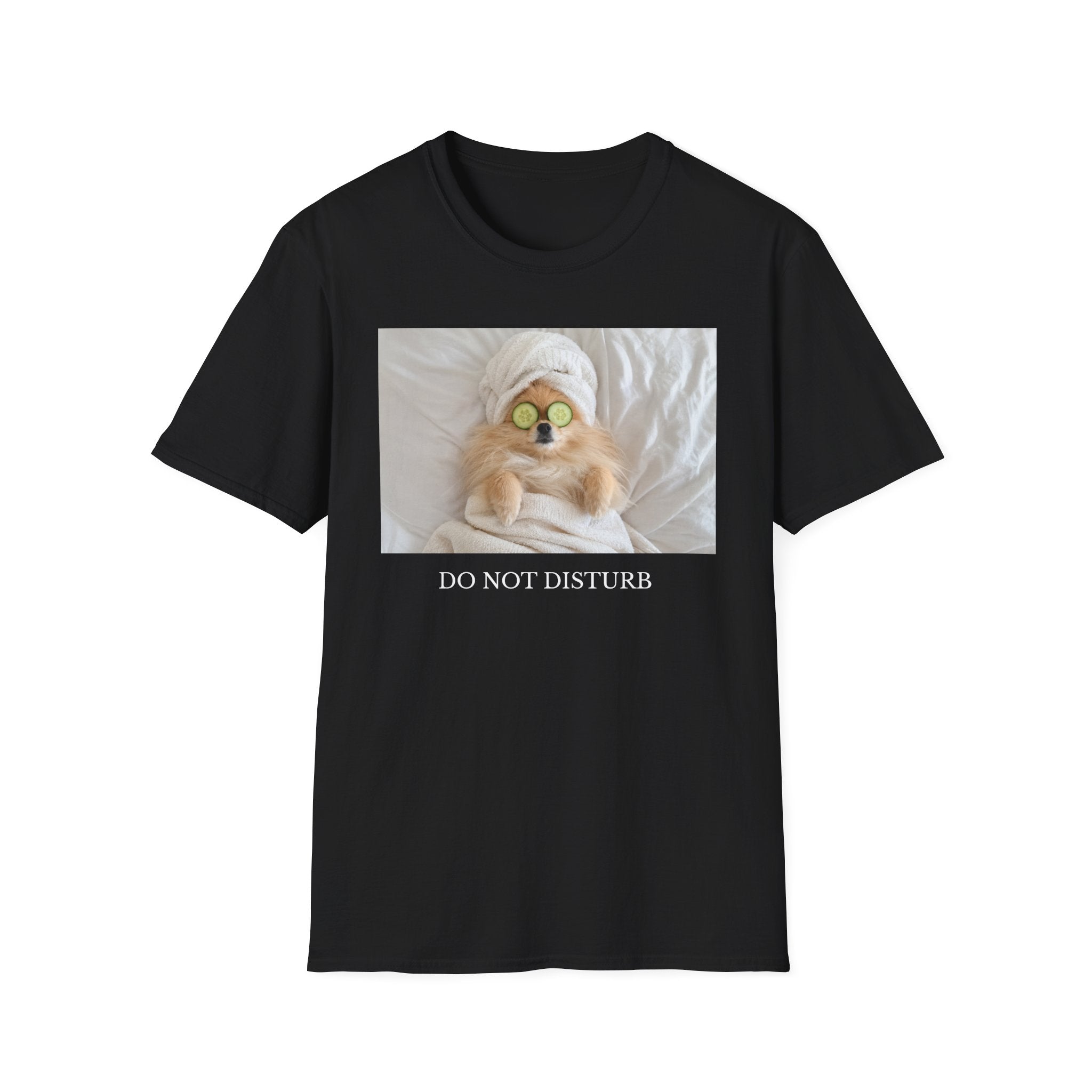 Do Not Disturb Pomeranian Shirt | Funny Dog Lover Unisex T-Shirt | Self Care Gift