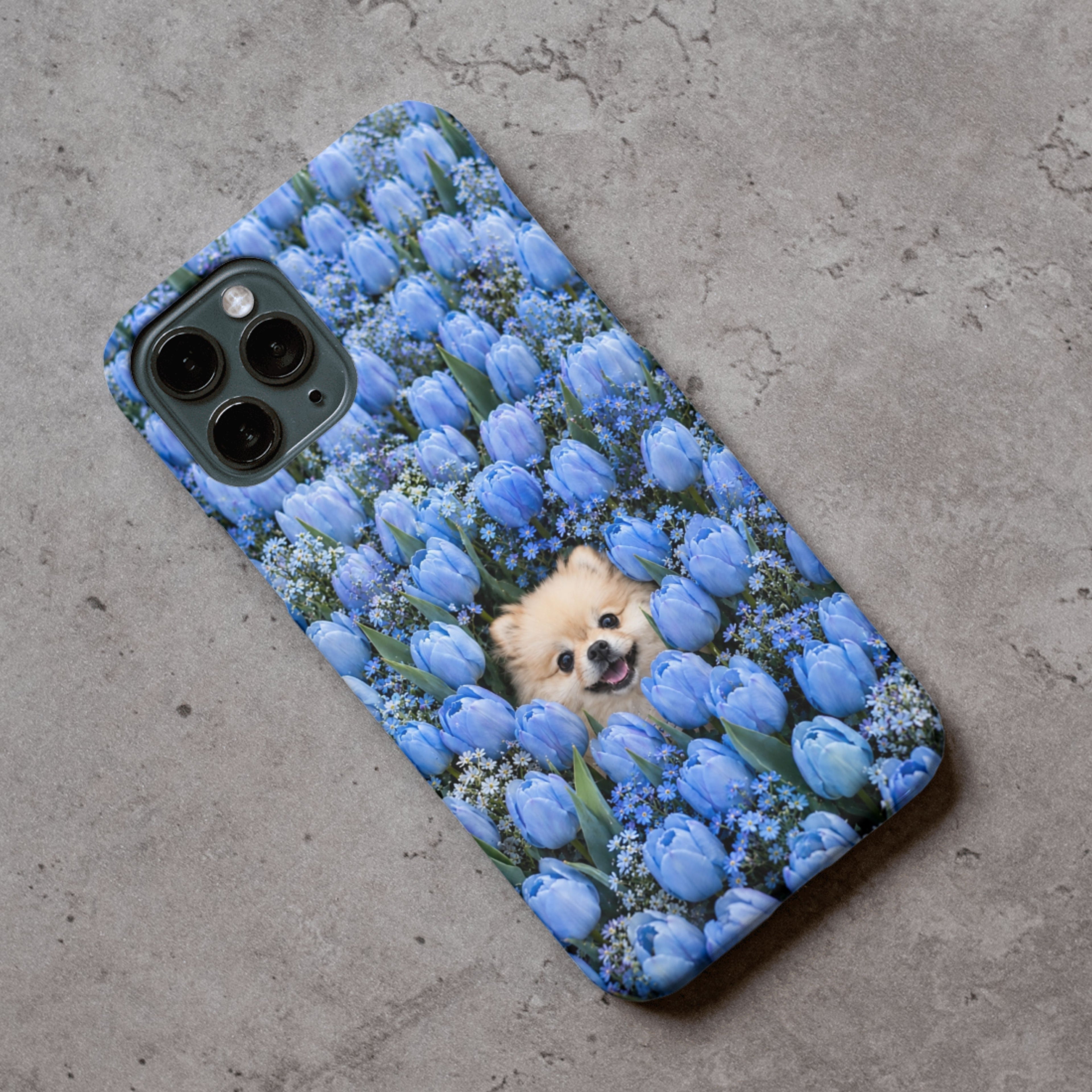 Blue Tulip Pomeranian Dog iPhone Case | Floral Dog Lover Gift