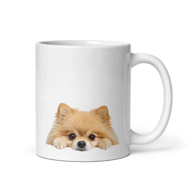 All I need is Coffee and My Pomeranian - Ceramic Mug Gift