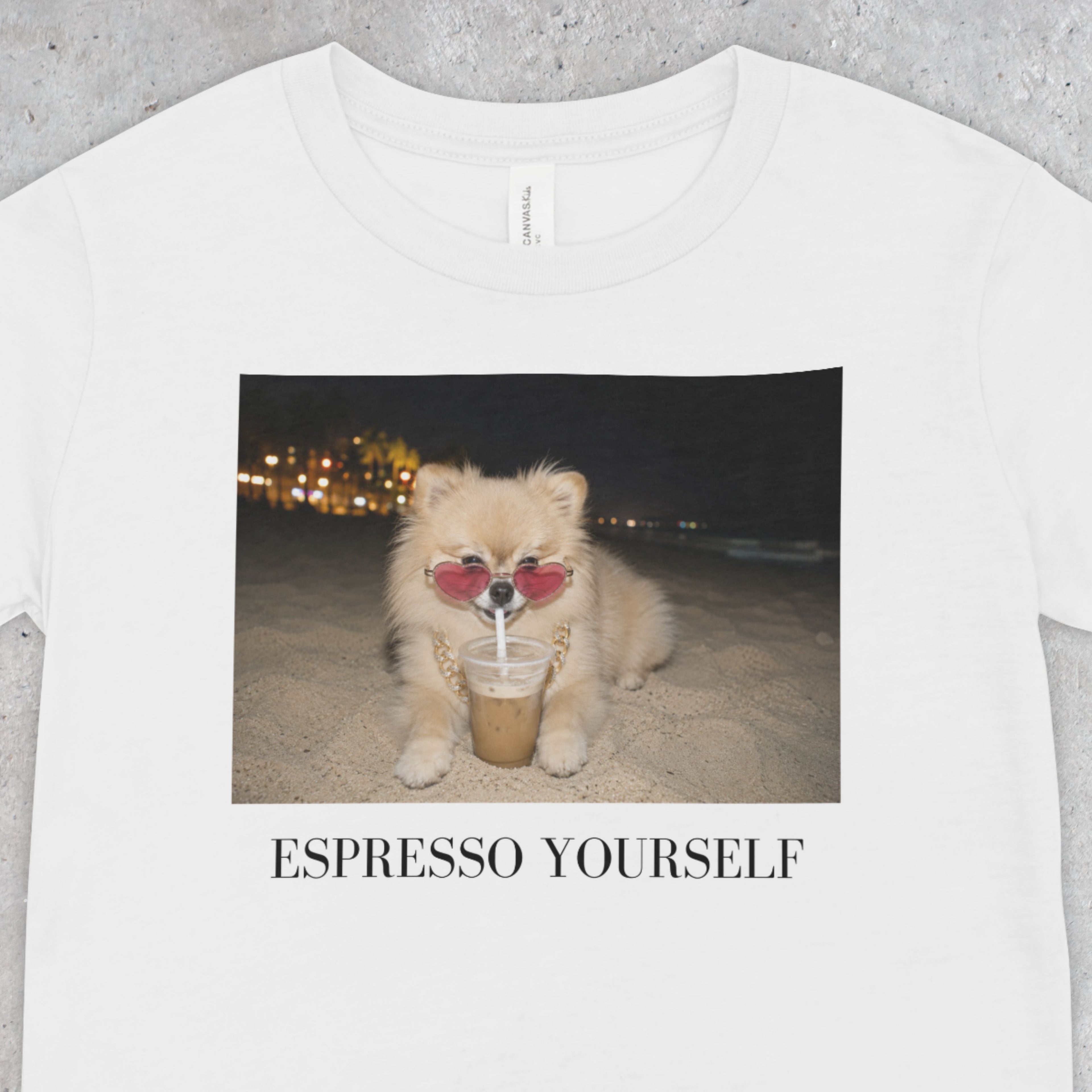 Espresso Yourself Pomeranian T-Shirt | Funny Coffee Dog Tee, Unisex Pomeranian Lover Shirt
