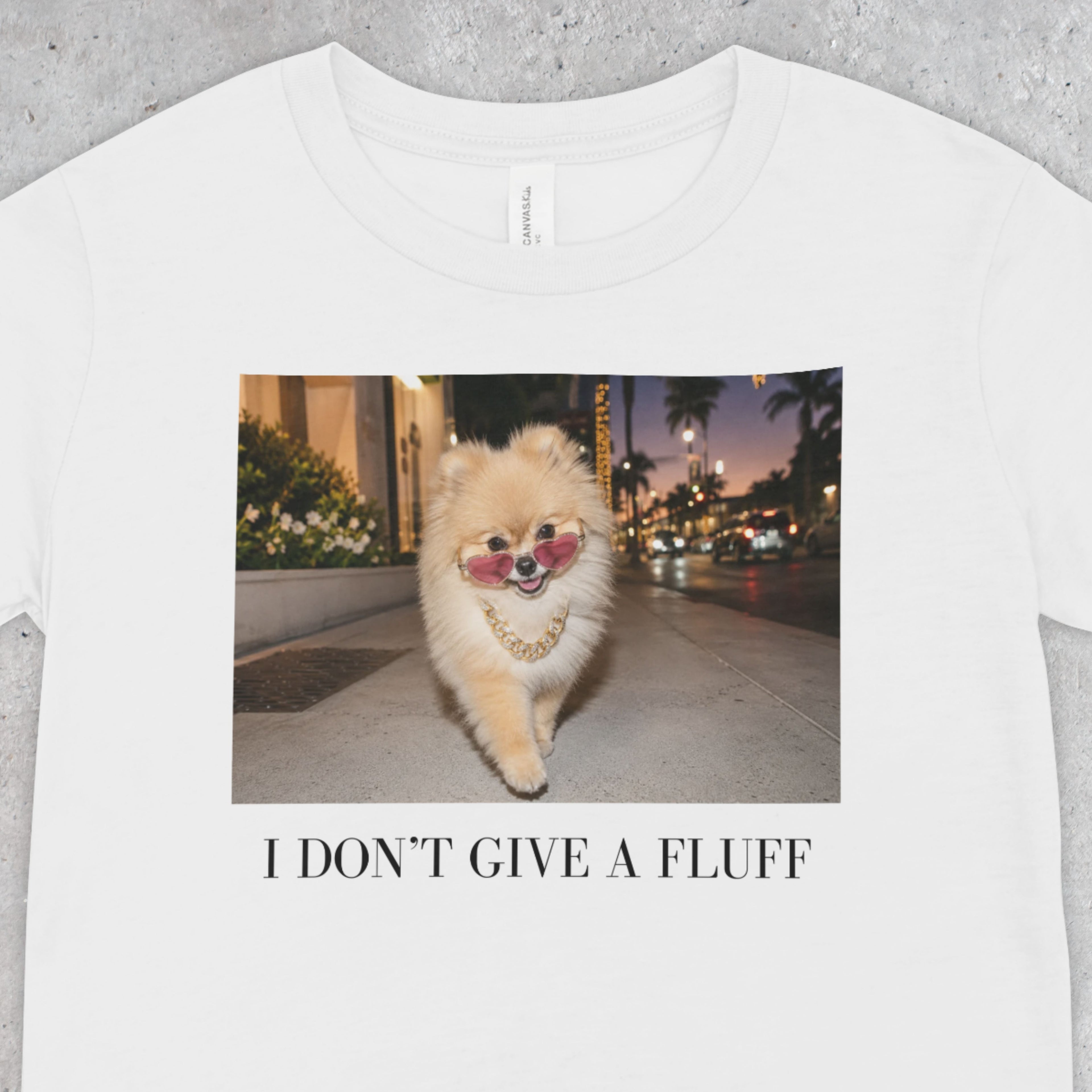 I Don’t Give a Fluff Pomeranian T-Shirt | Funny Dog Mom, Sarcastic Pet Lover Tee