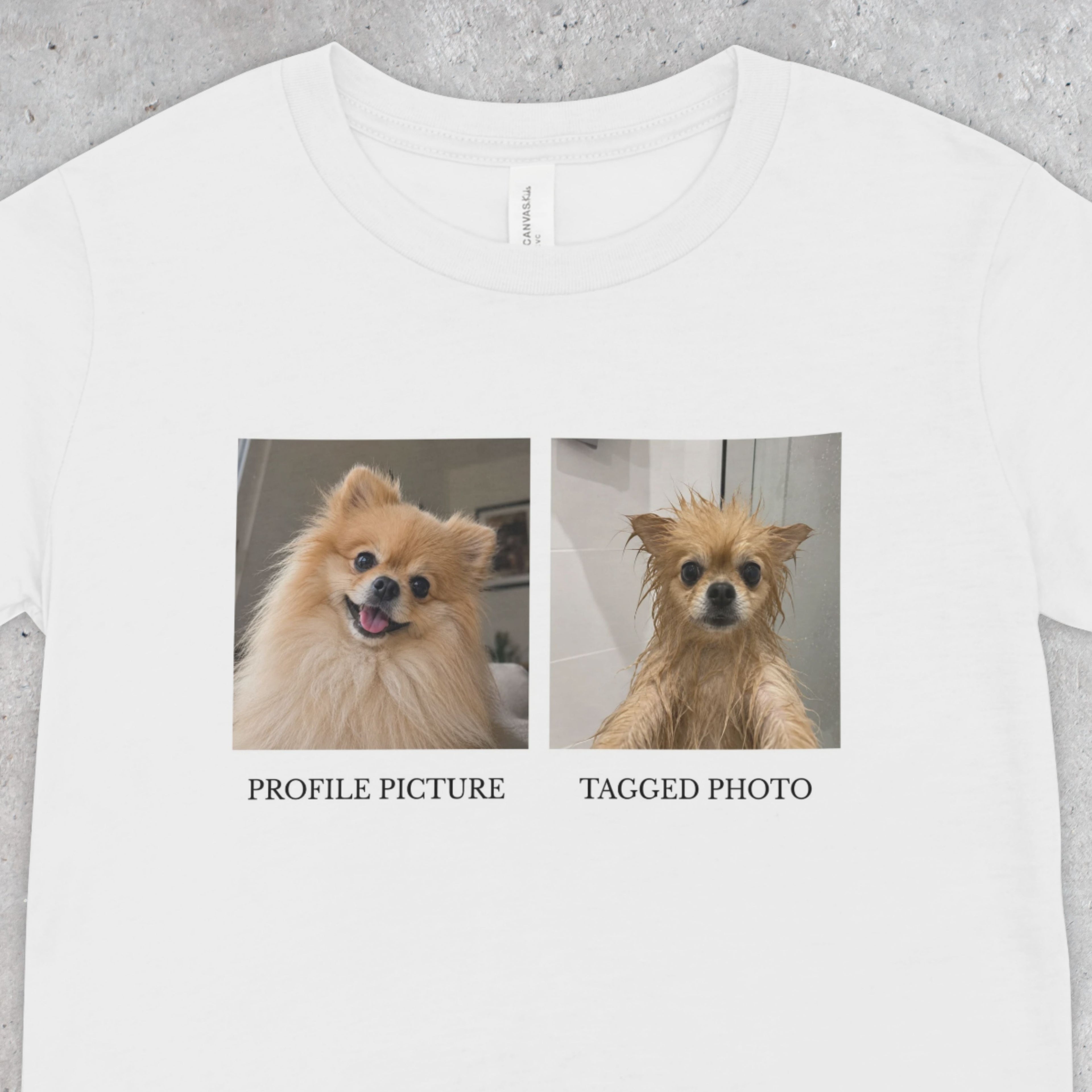 Pomeranian T-Shirt | Profile Picture vs Tagged Photo Dog Meme Tee