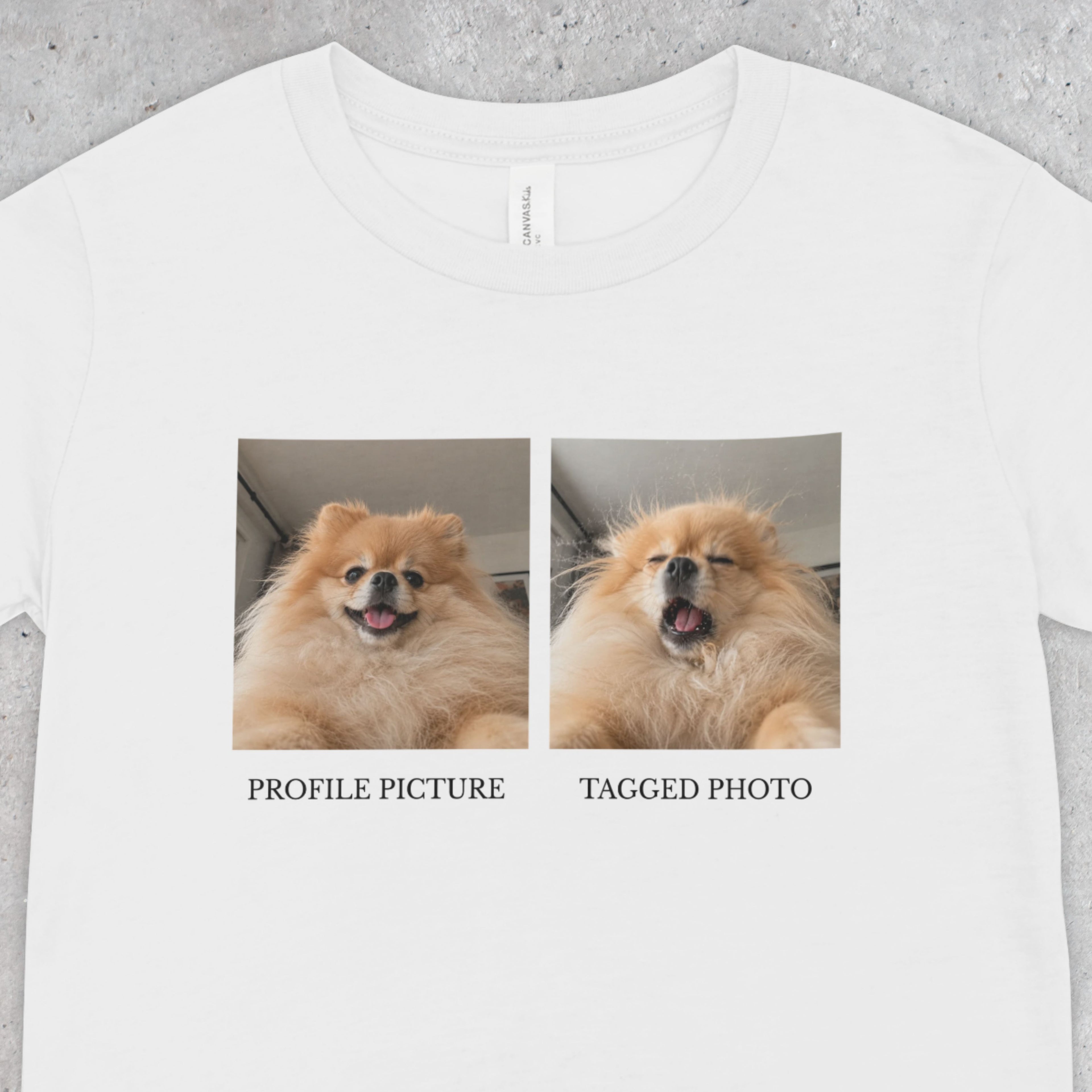Funny Pomeranian T-Shirt | Profile vs Tagged Photo Dog Meme Tee