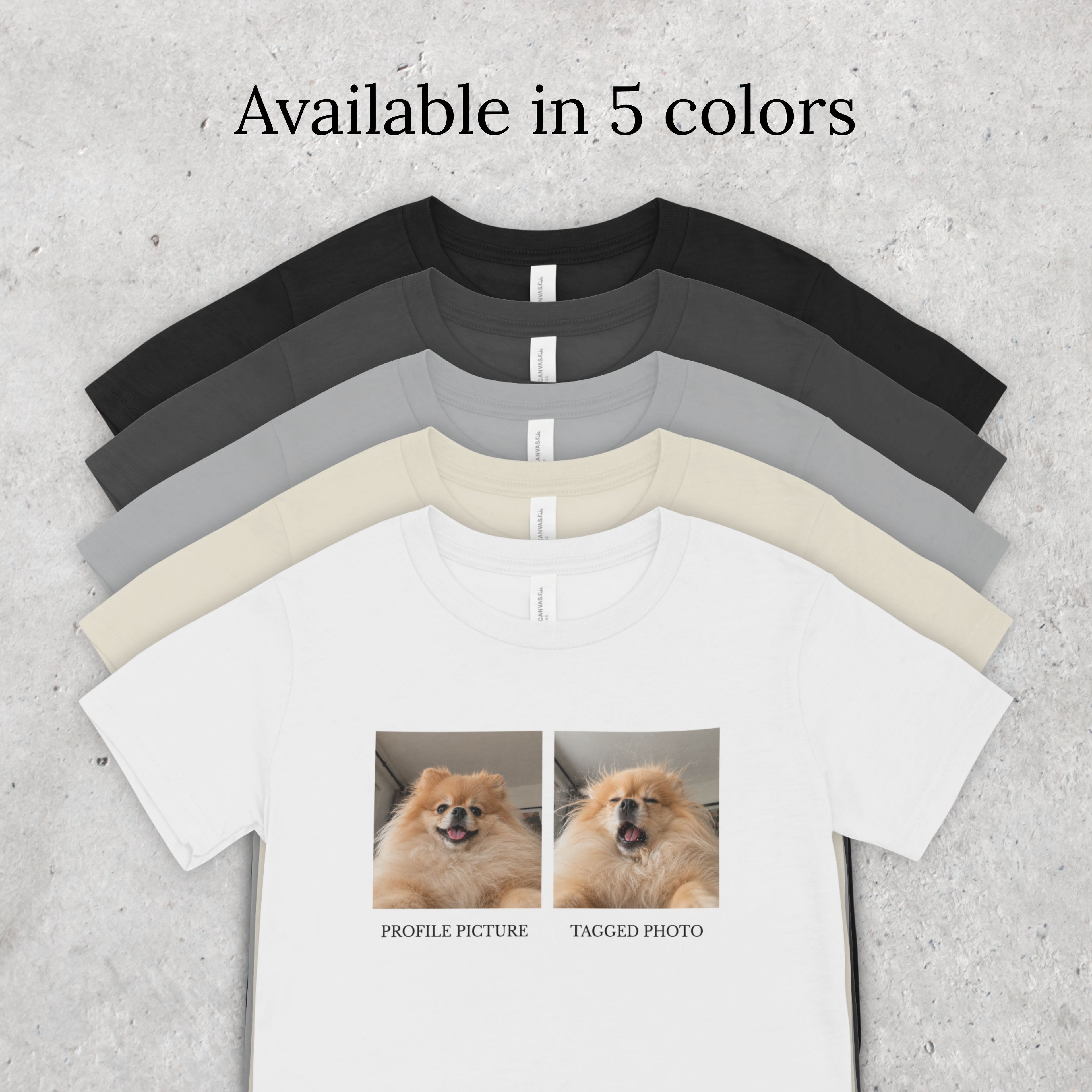 Funny Pomeranian T-Shirt | Profile vs Tagged Photo Dog Meme Tee