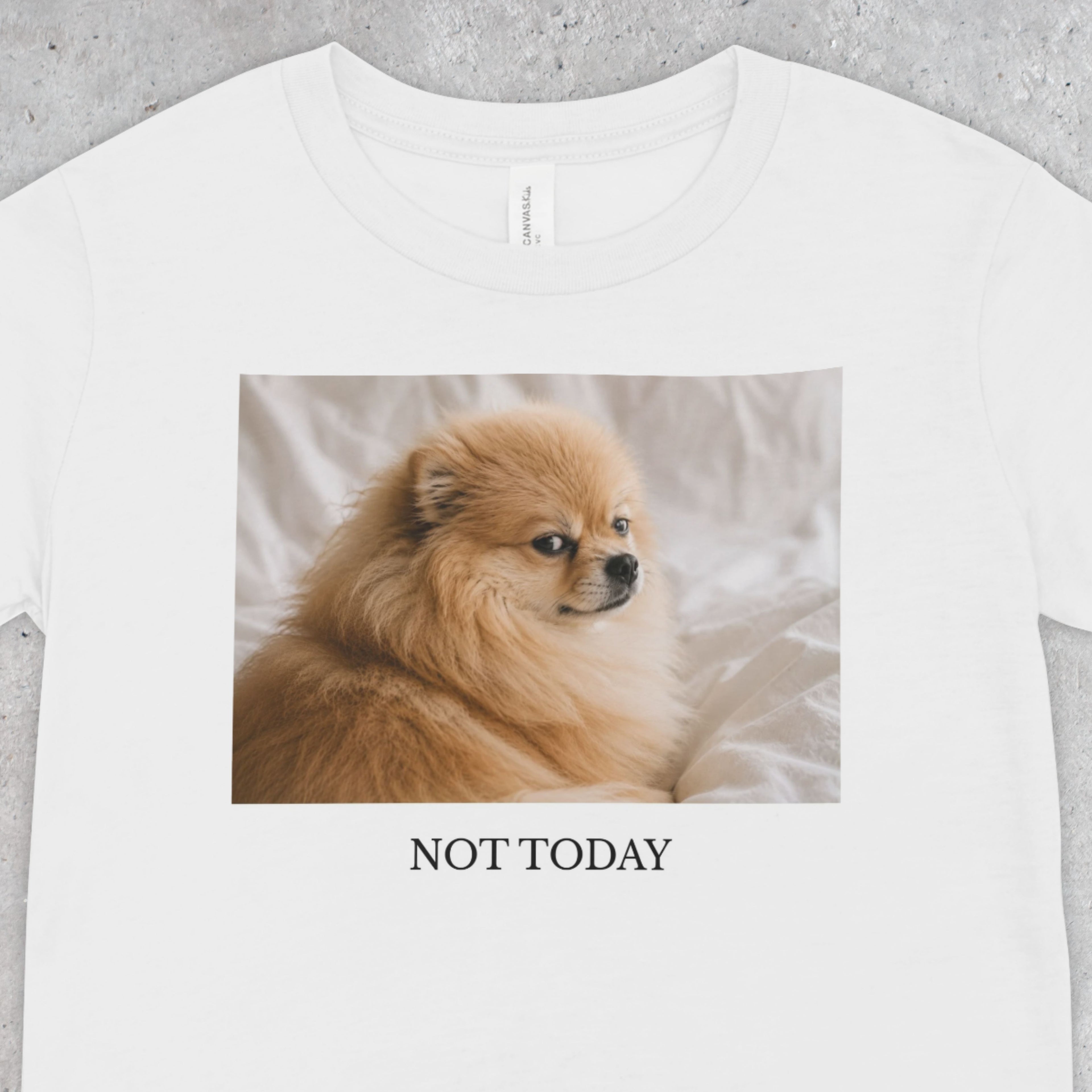 Not Today Pomeranian Shirt | Funny Dog Lover Unisex T-Shirt | Sassy Pom Tee