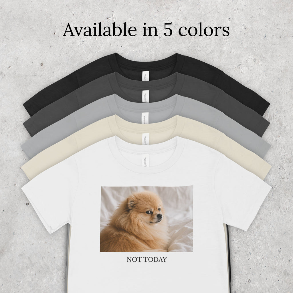 Not Today Pomeranian Shirt | Funny Dog Lover Unisex T-Shirt | Sassy Pom Tee