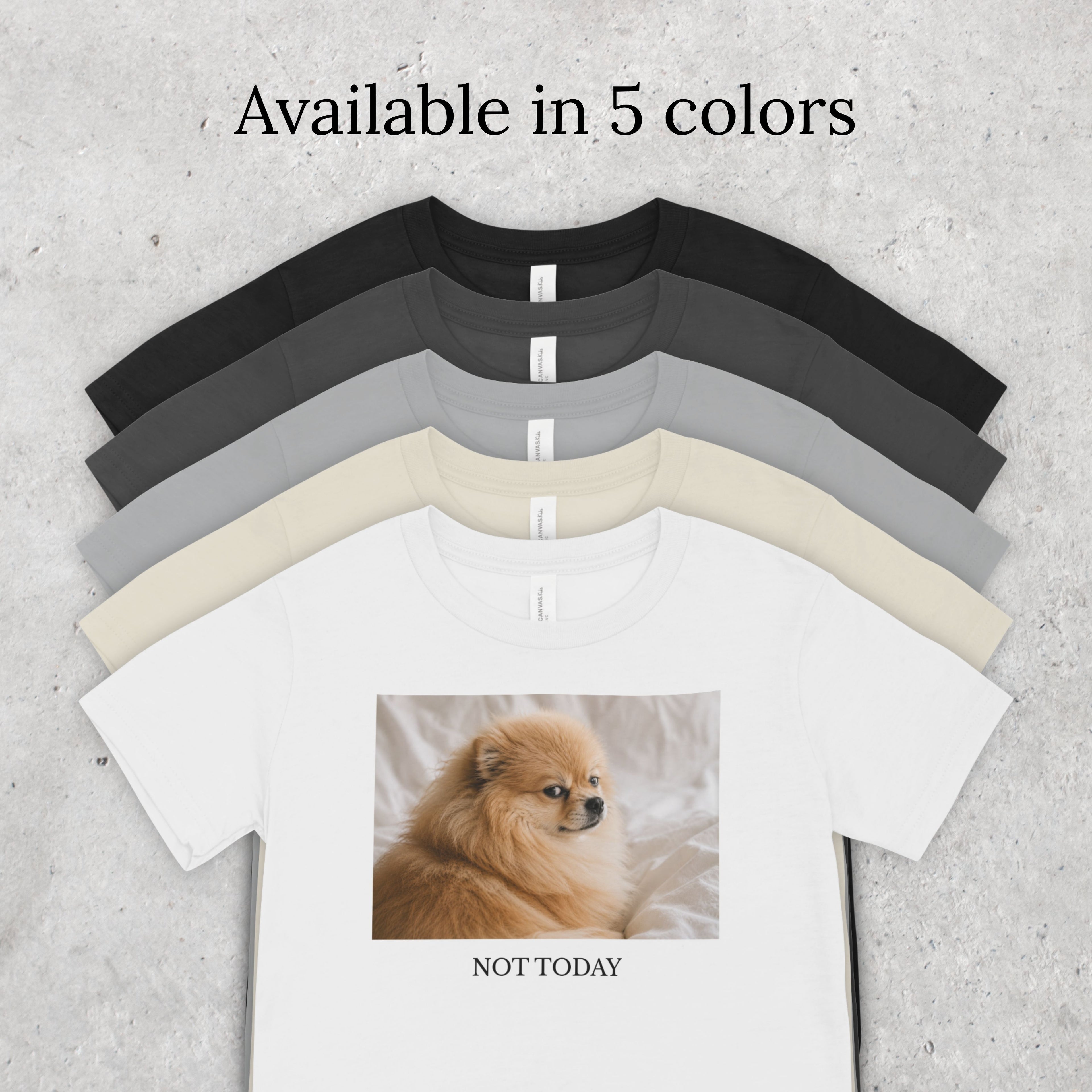 Not Today Pomeranian Shirt | Funny Dog Lover Unisex T-Shirt | Sassy Pom Tee