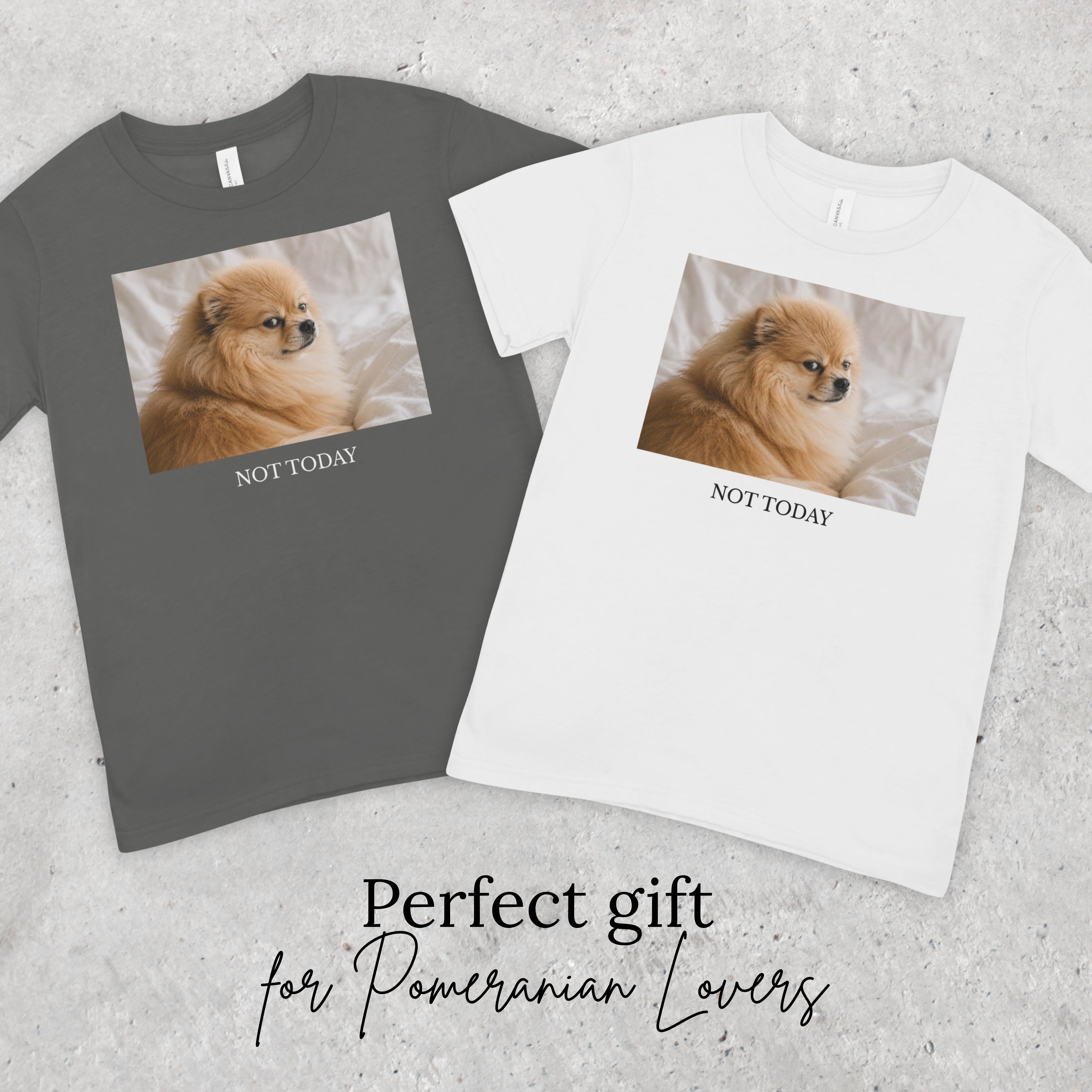 Not Today Pomeranian Shirt | Funny Dog Lover Unisex T-Shirt | Sassy Pom Tee