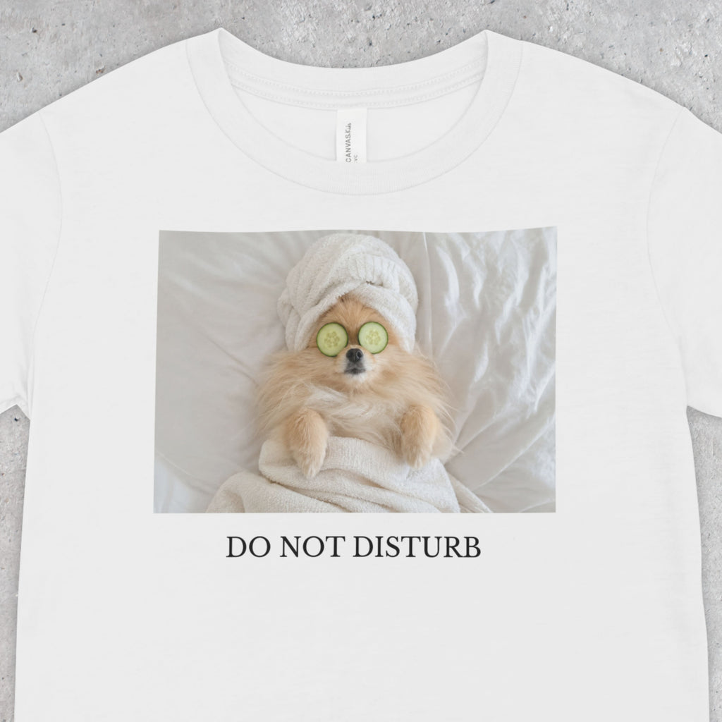 Do Not Disturb Pomeranian Shirt | Funny Dog Lover Unisex T-Shirt | Self Care Gift
