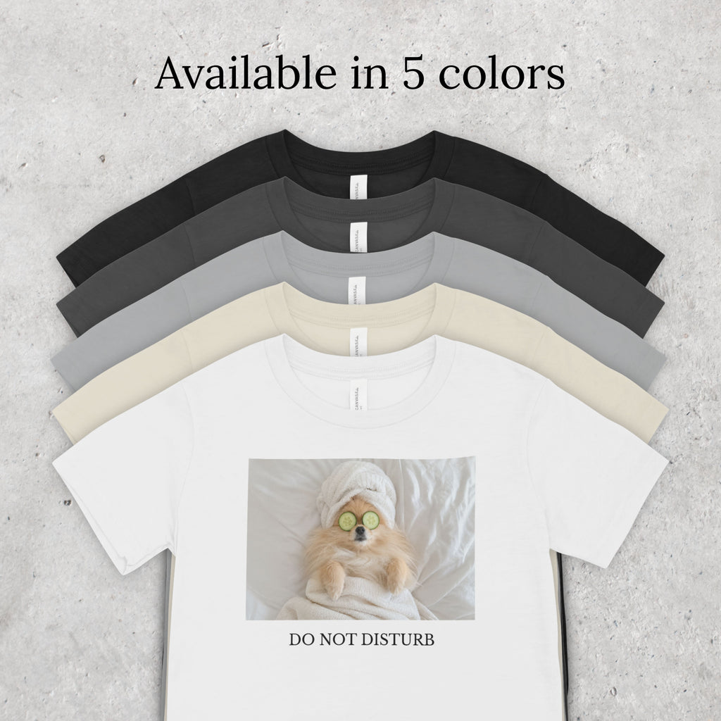 Do Not Disturb Pomeranian Shirt | Funny Dog Lover Unisex T-Shirt | Self Care Gift
