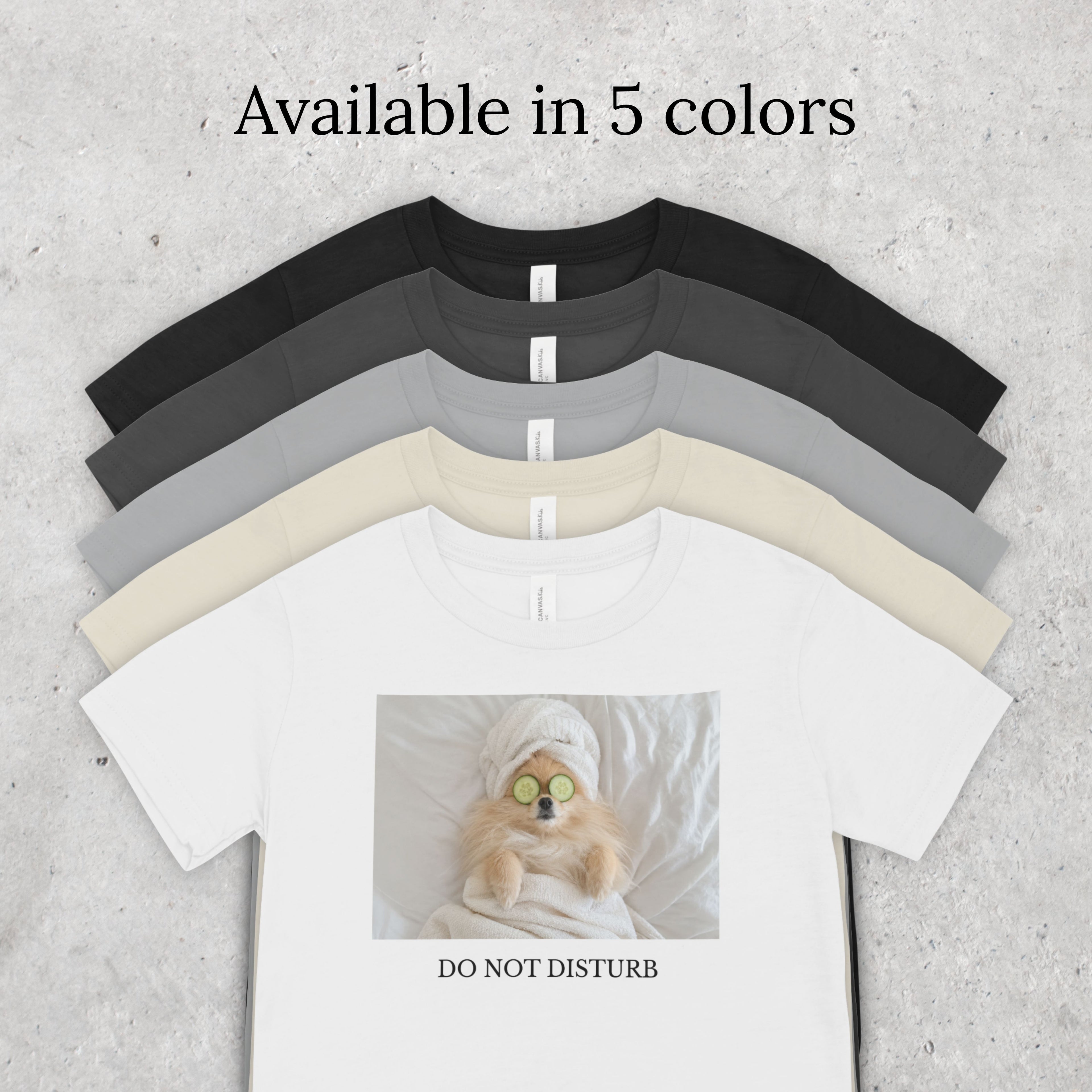 Do Not Disturb Pomeranian Shirt | Funny Dog Lover Unisex T-Shirt | Self Care Gift