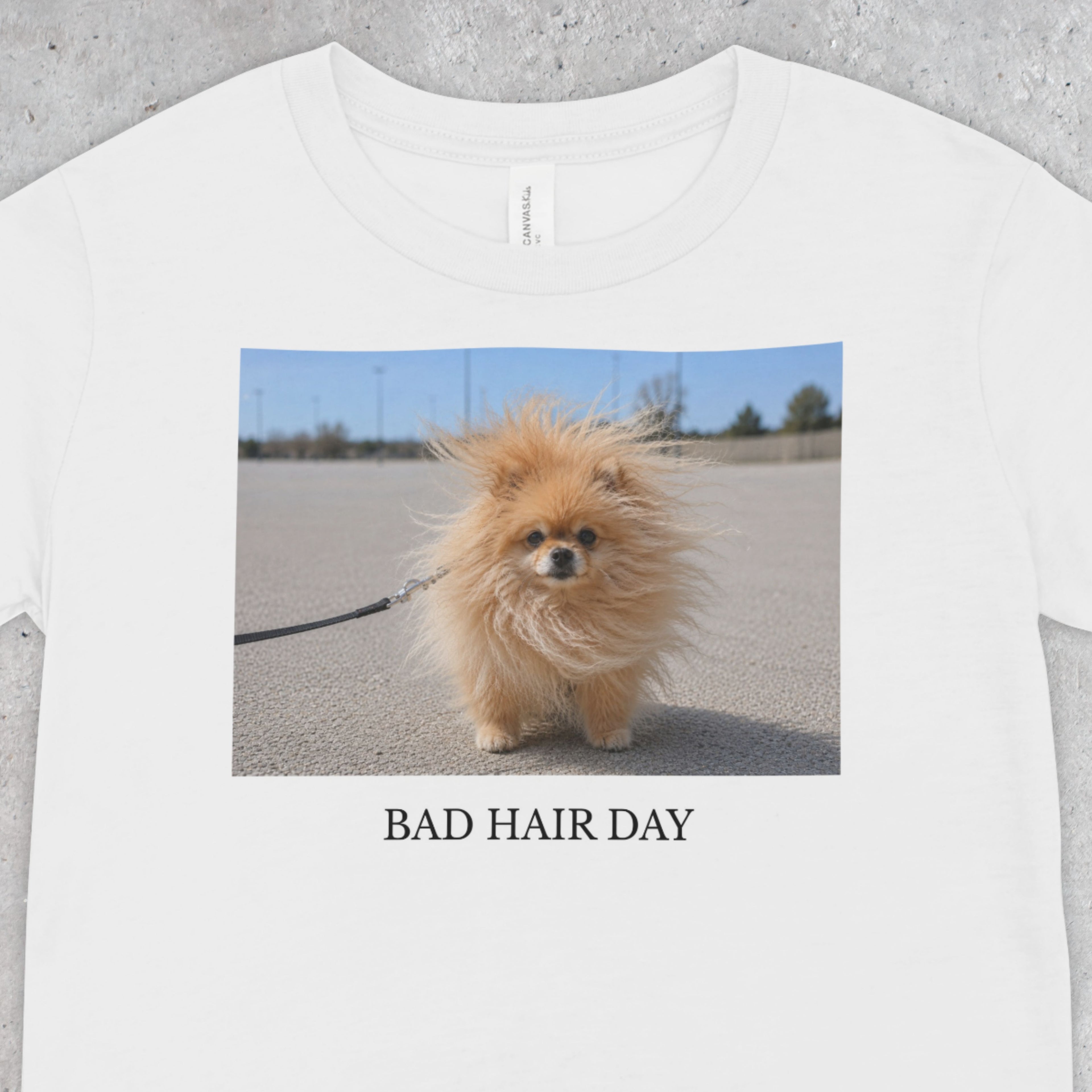 Bad Hair Day Pomeranian Shirt | Funny Dog Lover Unisex Tee