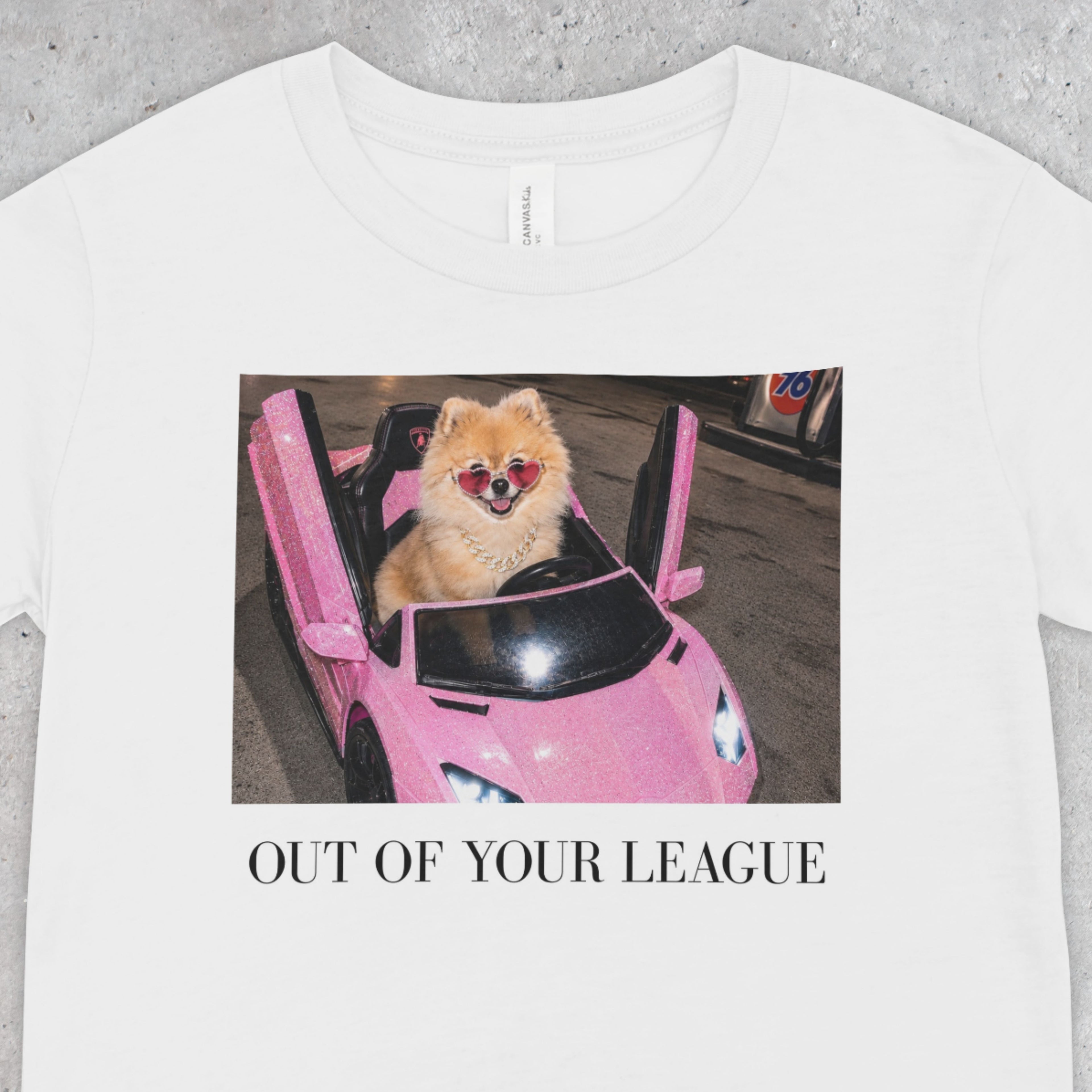 Out of Your League | Pomeranian Dog Graphic Tee | Y2K Pink T-Shirt