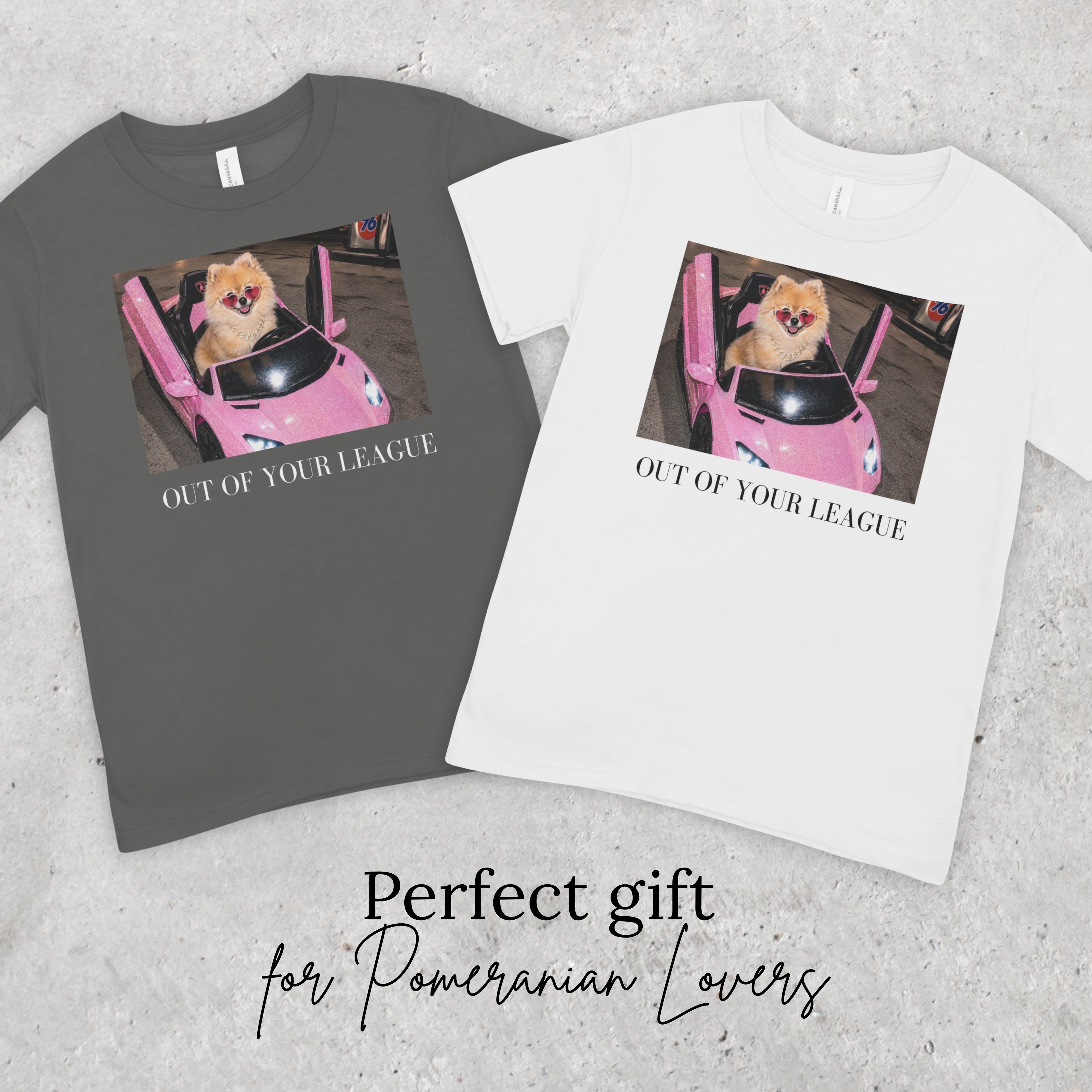 Out of Your League | Pomeranian Dog Graphic Tee | Y2K Pink T-Shirt