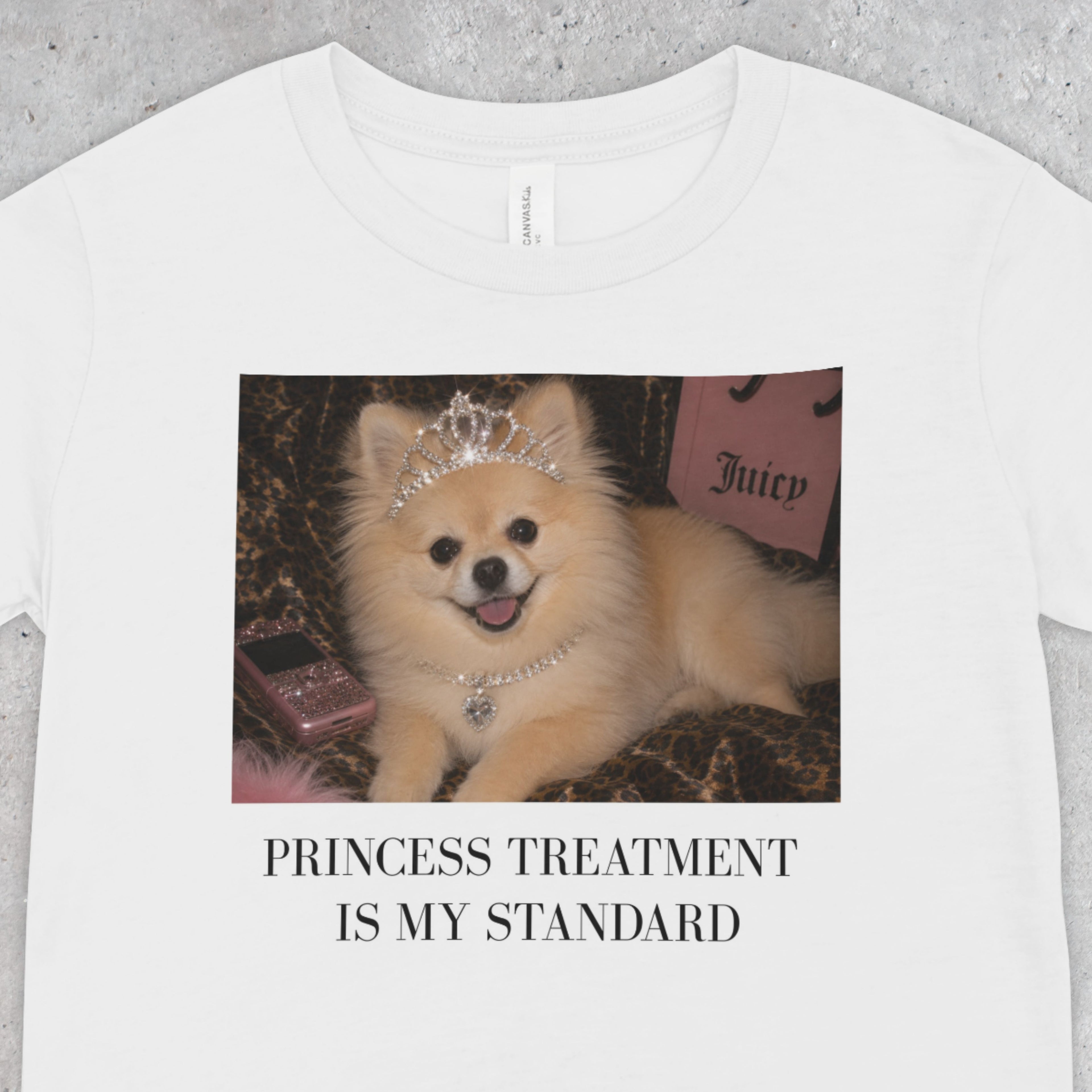Princess Treatment is My Standard Pomeranian T-Shirt