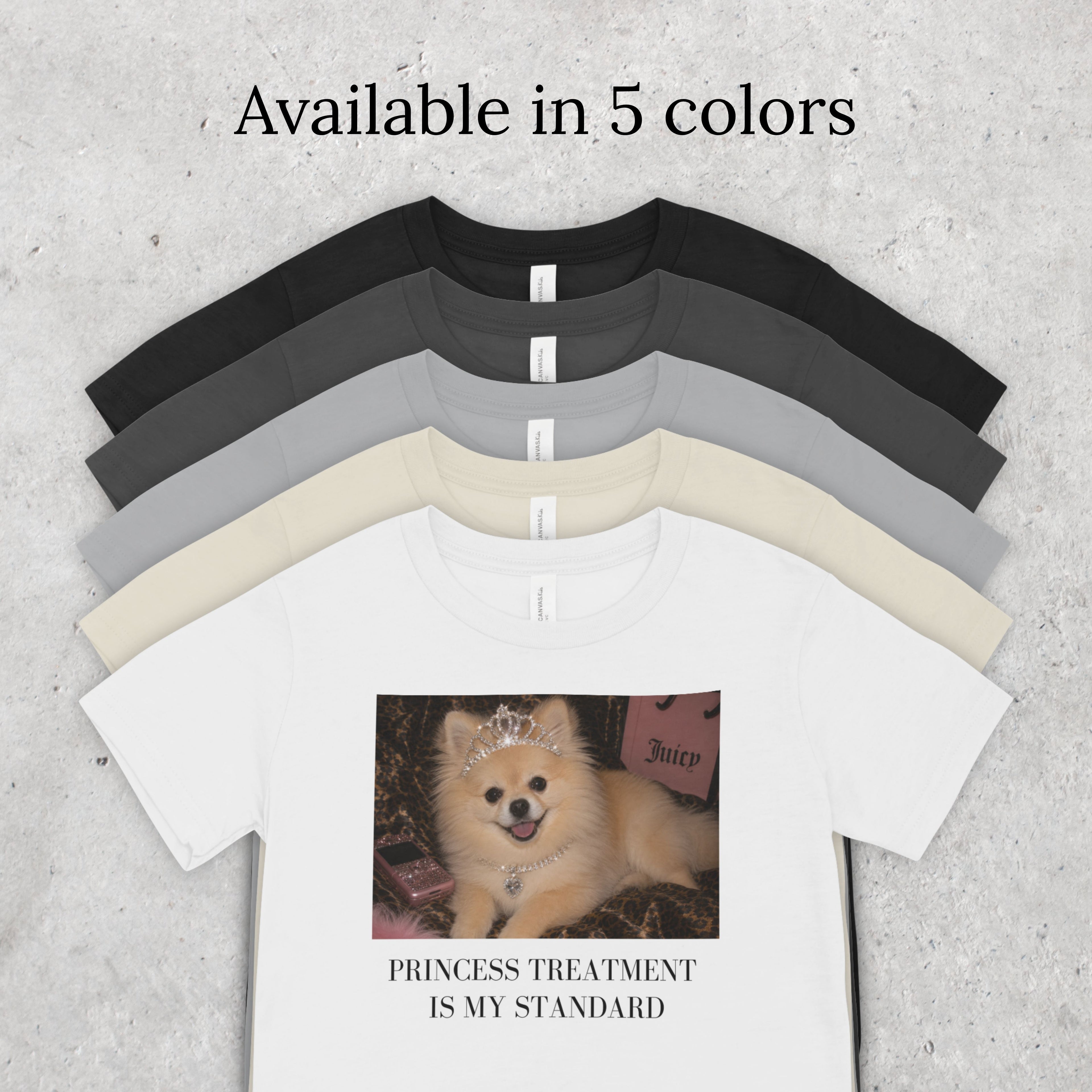 Princess Treatment is My Standard Pomeranian T-Shirt
