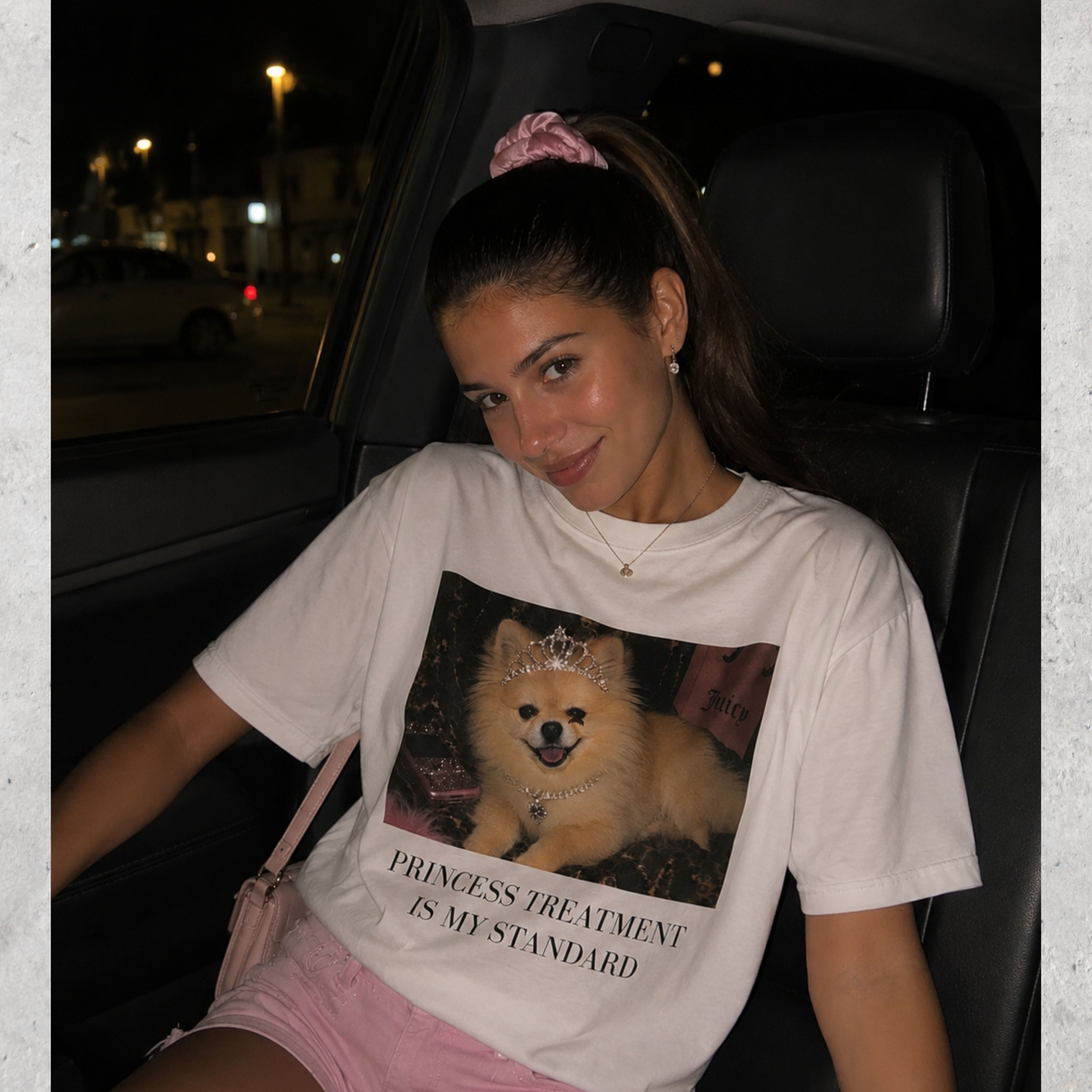Princess Treatment is My Standard Pomeranian T-Shirt