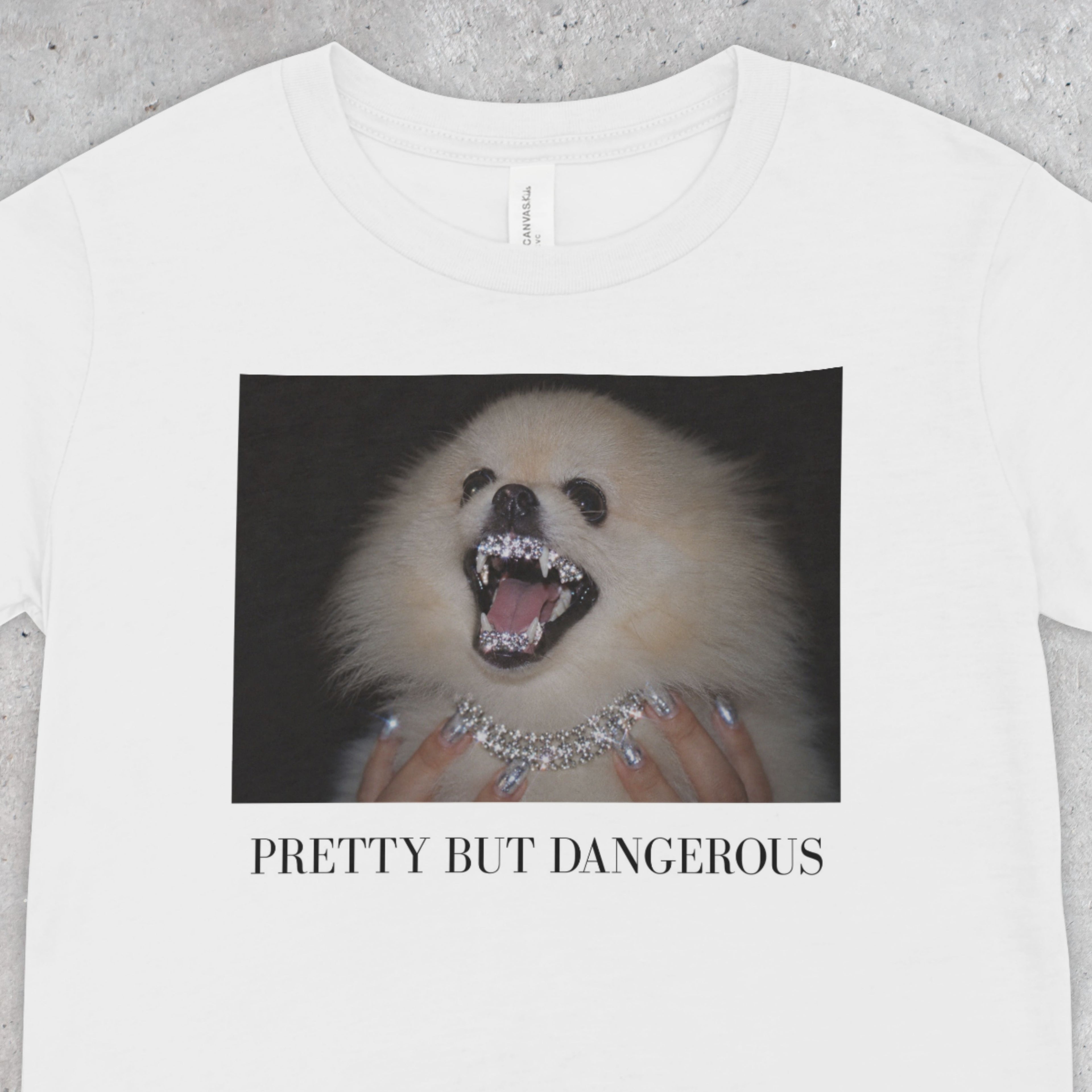 Pomeranian T-Shirt | Pretty But Dangerous, Y2K Dog Mom Tee