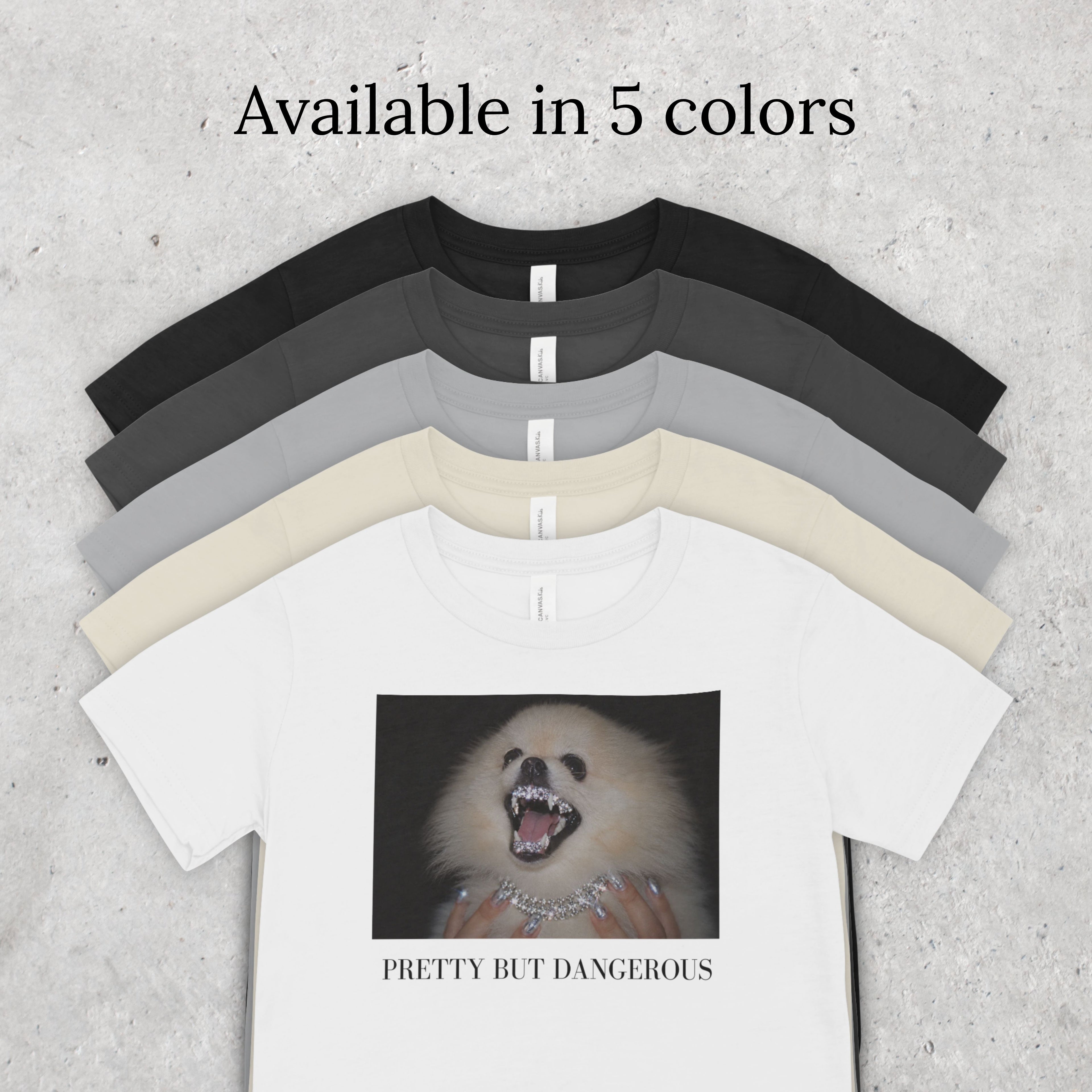 Pomeranian T-Shirt | Pretty But Dangerous, Y2K Dog Mom Tee