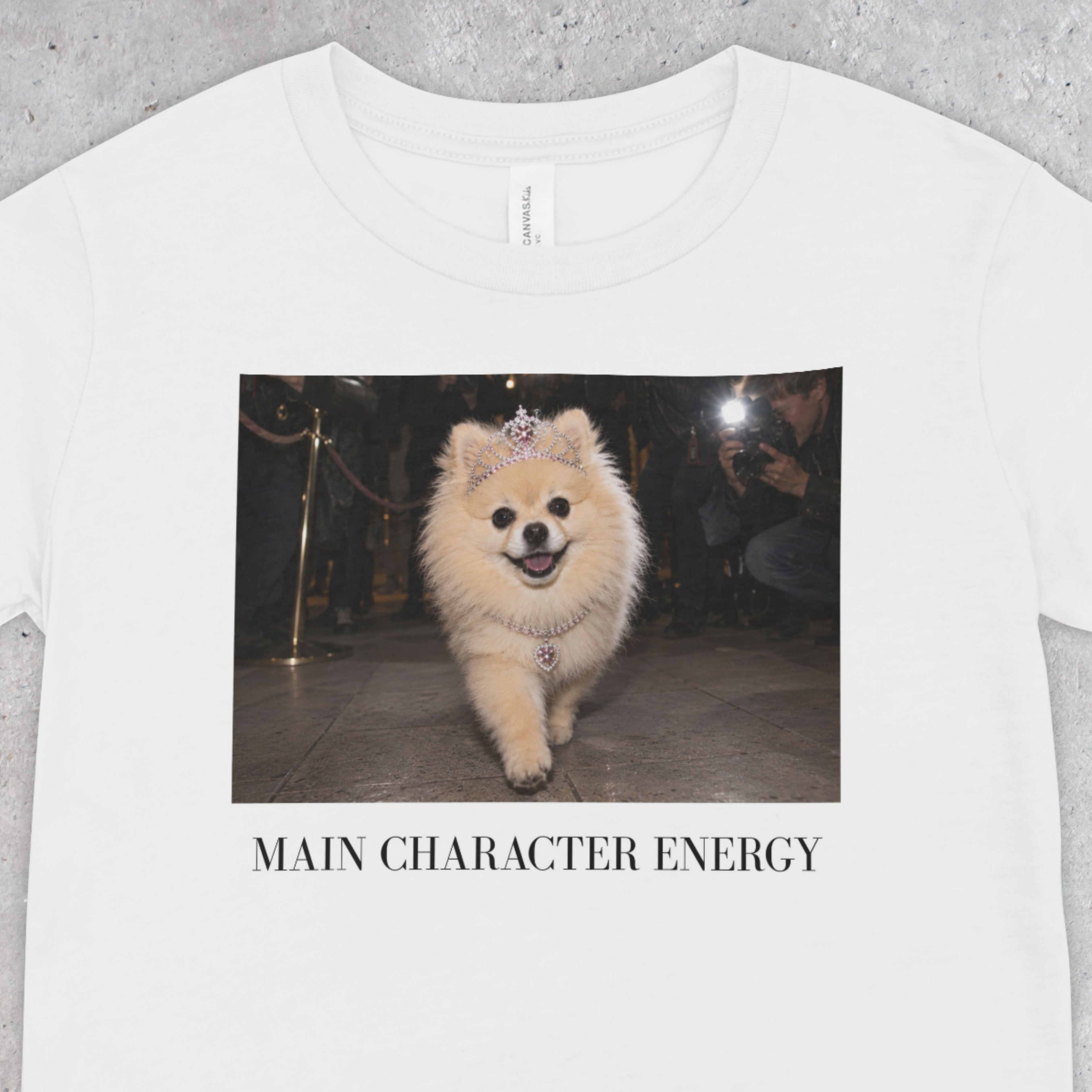 Main Character Energy Pomeranian T-Shirt | Dog Mom, Coquette, Y2K Fashion Tee
