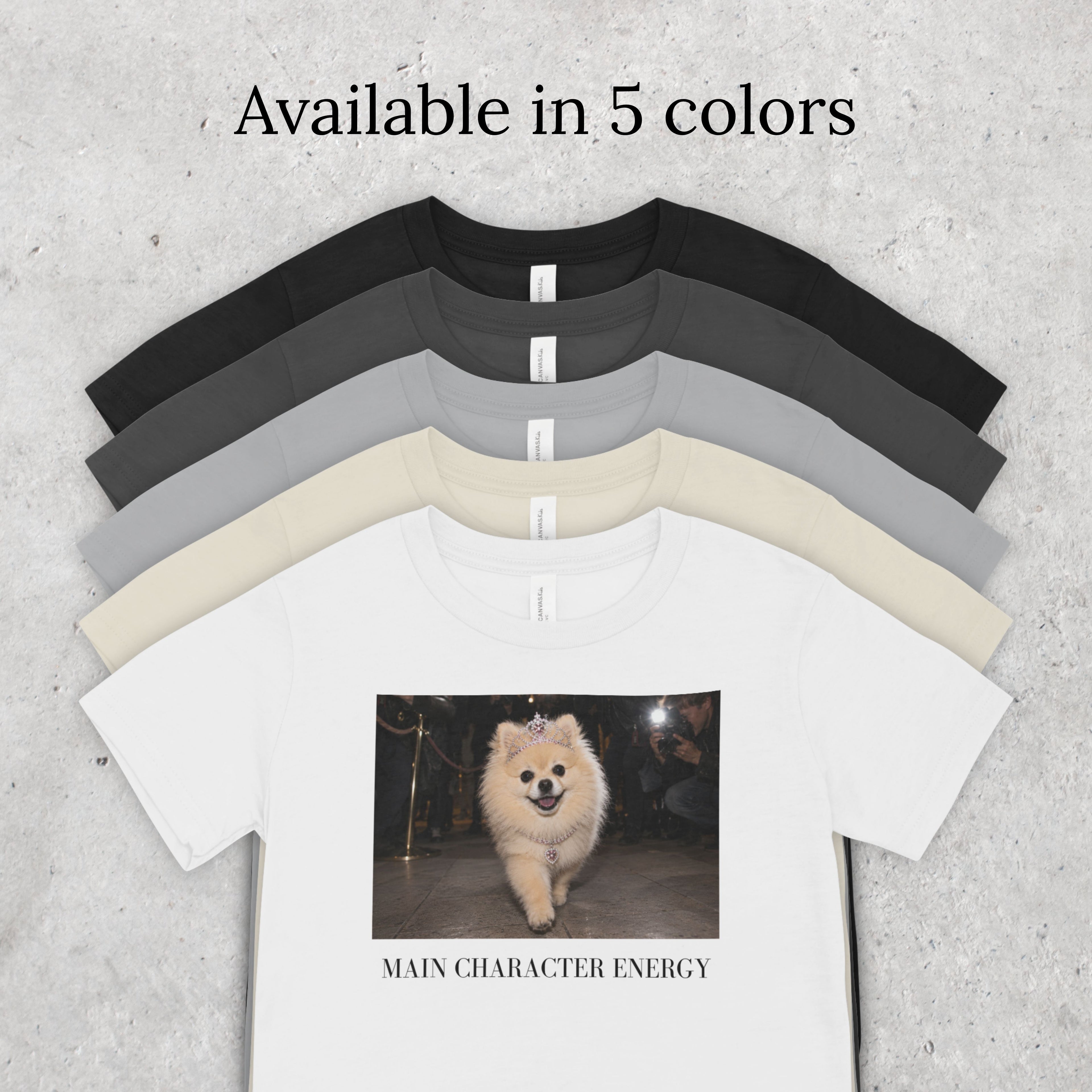 Main Character Energy Pomeranian T-Shirt | Dog Mom, Coquette, Y2K Fashion Tee