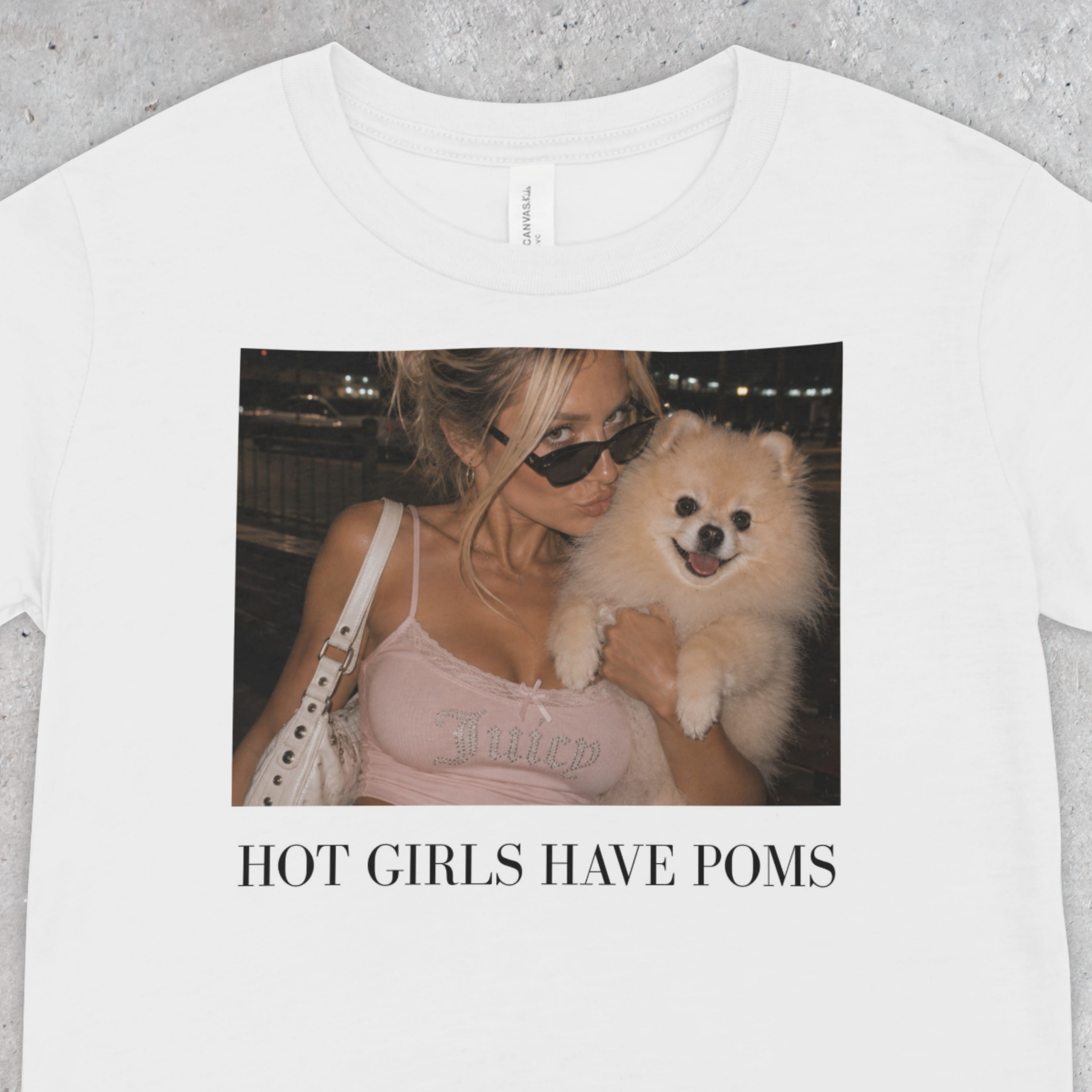 Hot Girls Have Poms T-Shirt | Y2K Pomeranian Dog Mom Tee